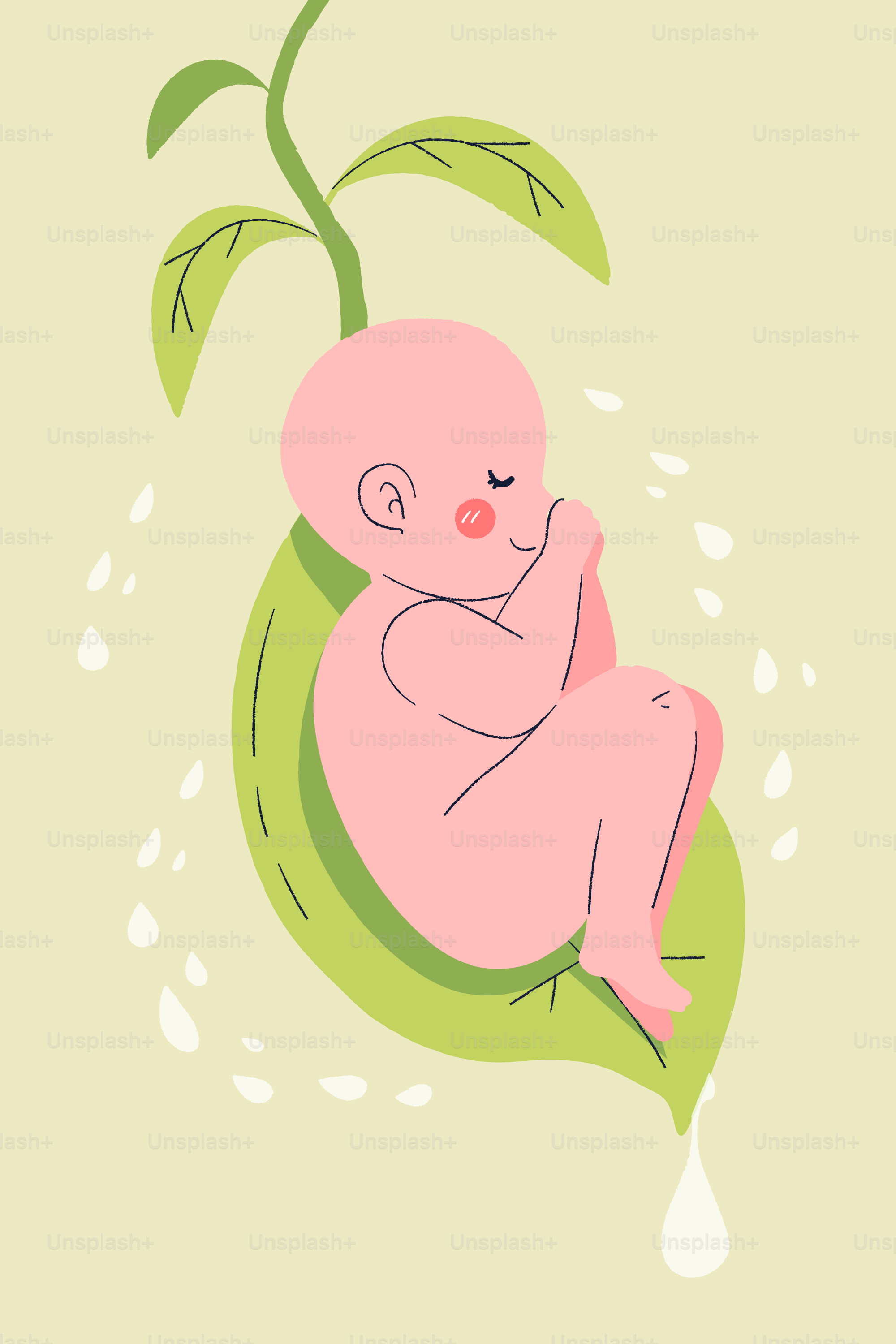 A baby sleeping in a large green leaf