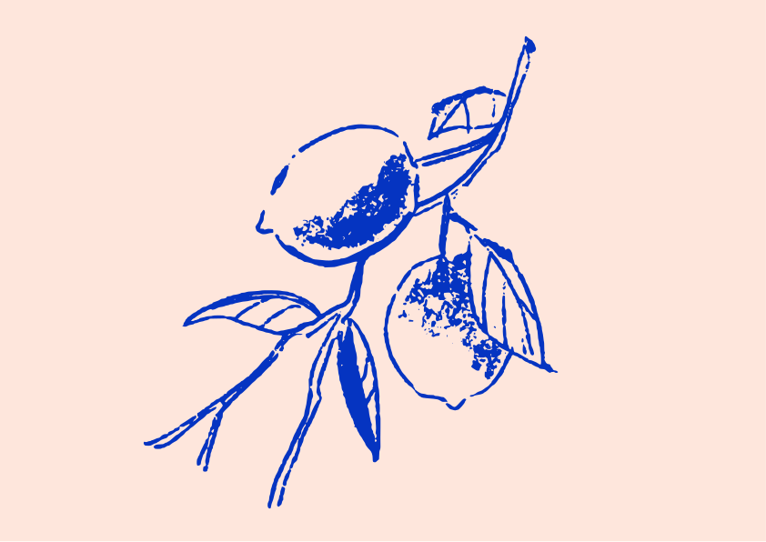 Blue sketch of lemons on a branch.