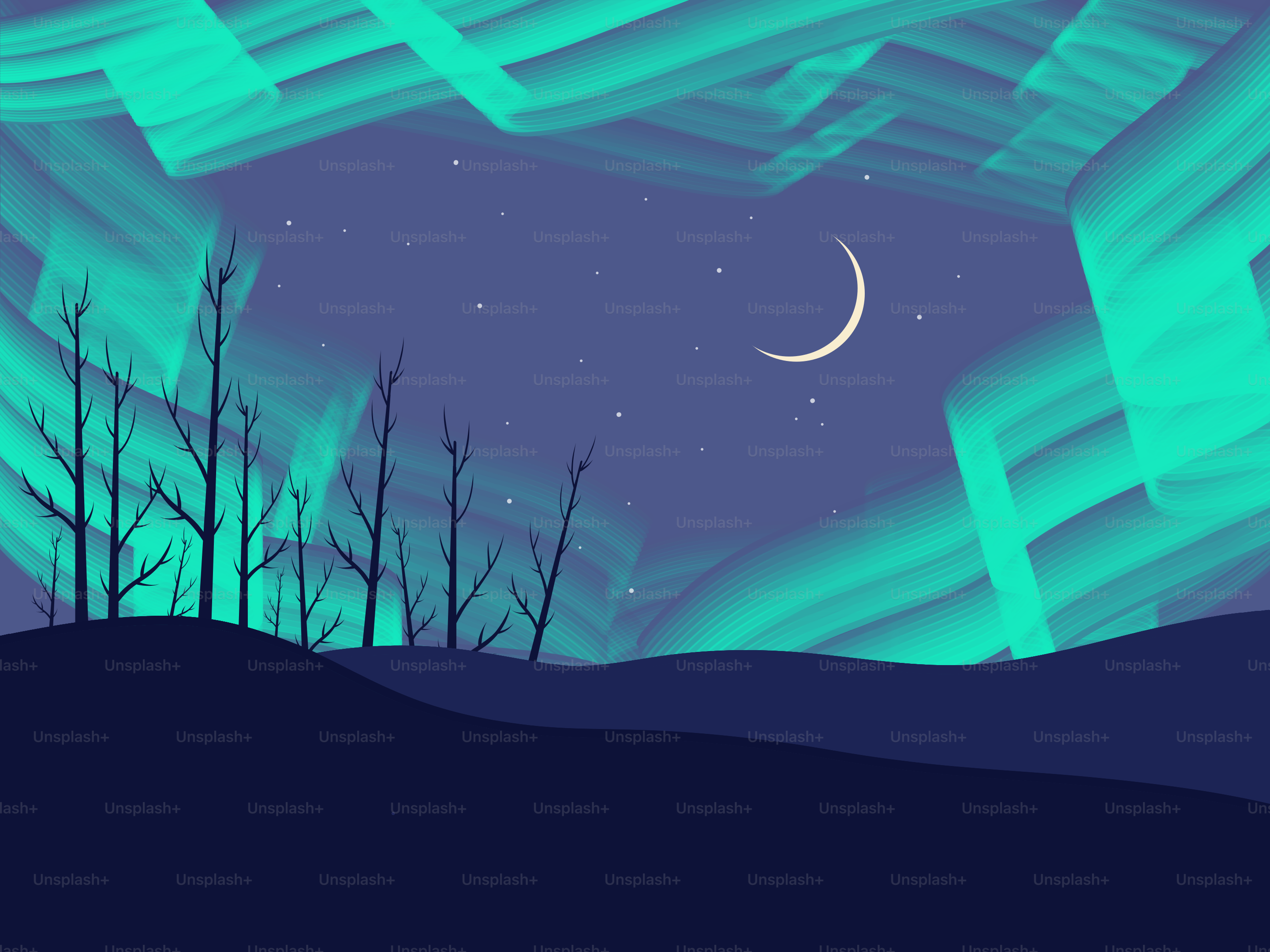 Northern lights illuminate a starry night sky over trees.