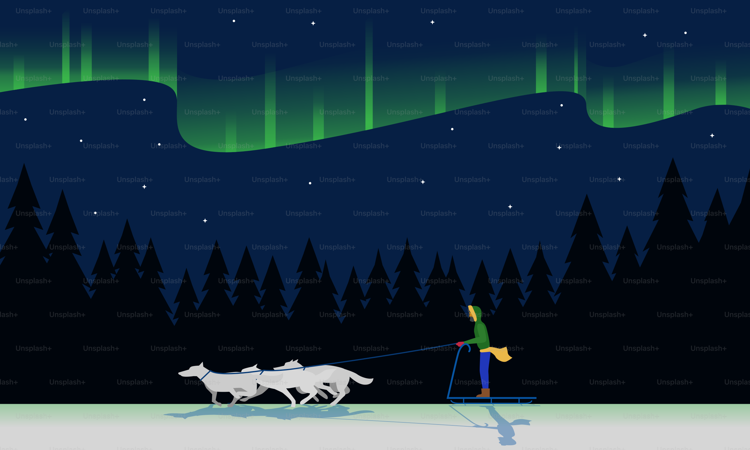 Dog sledding under the aurora borealis at night