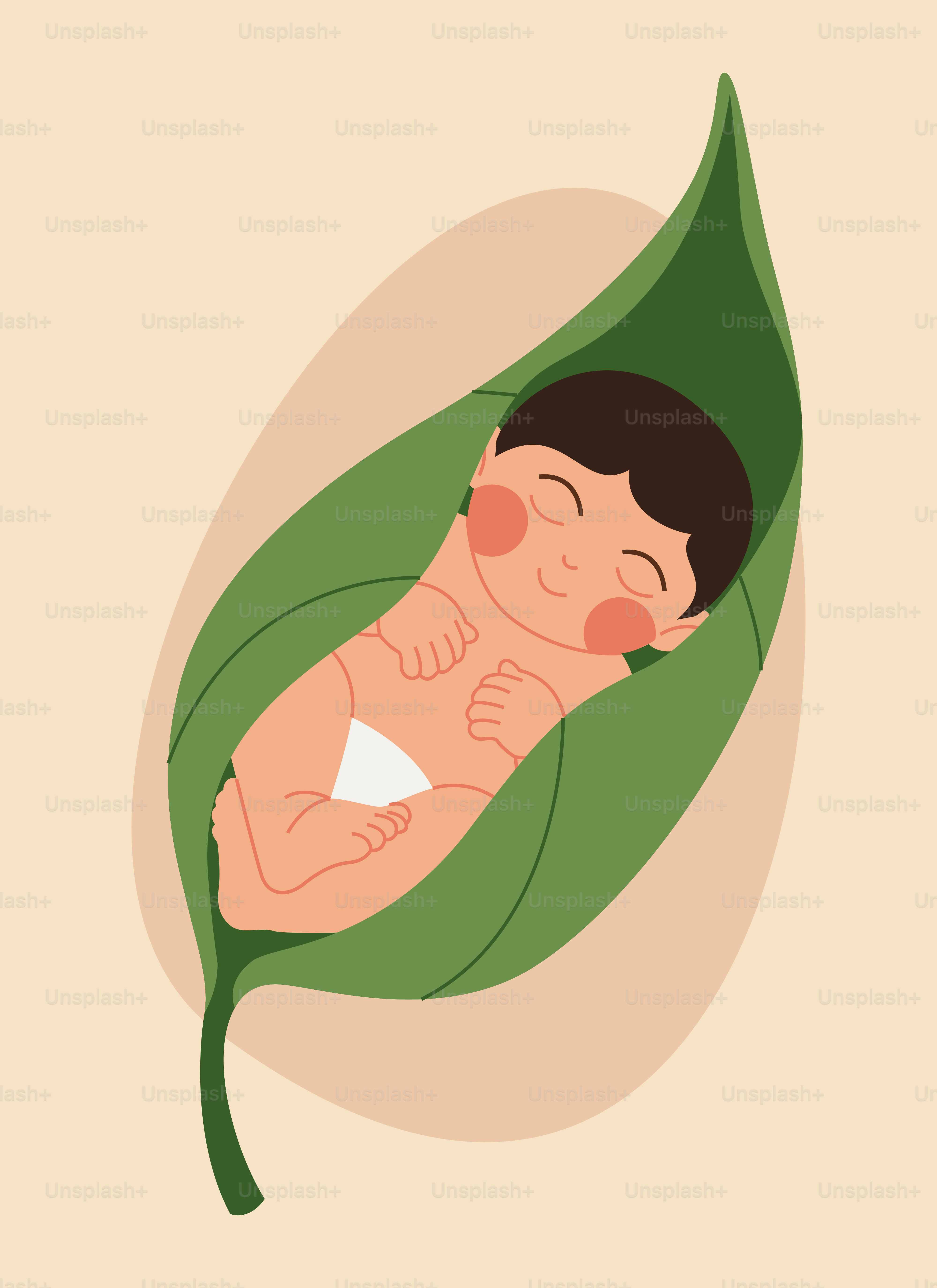 A baby sleeping peacefully in a large green leaf.