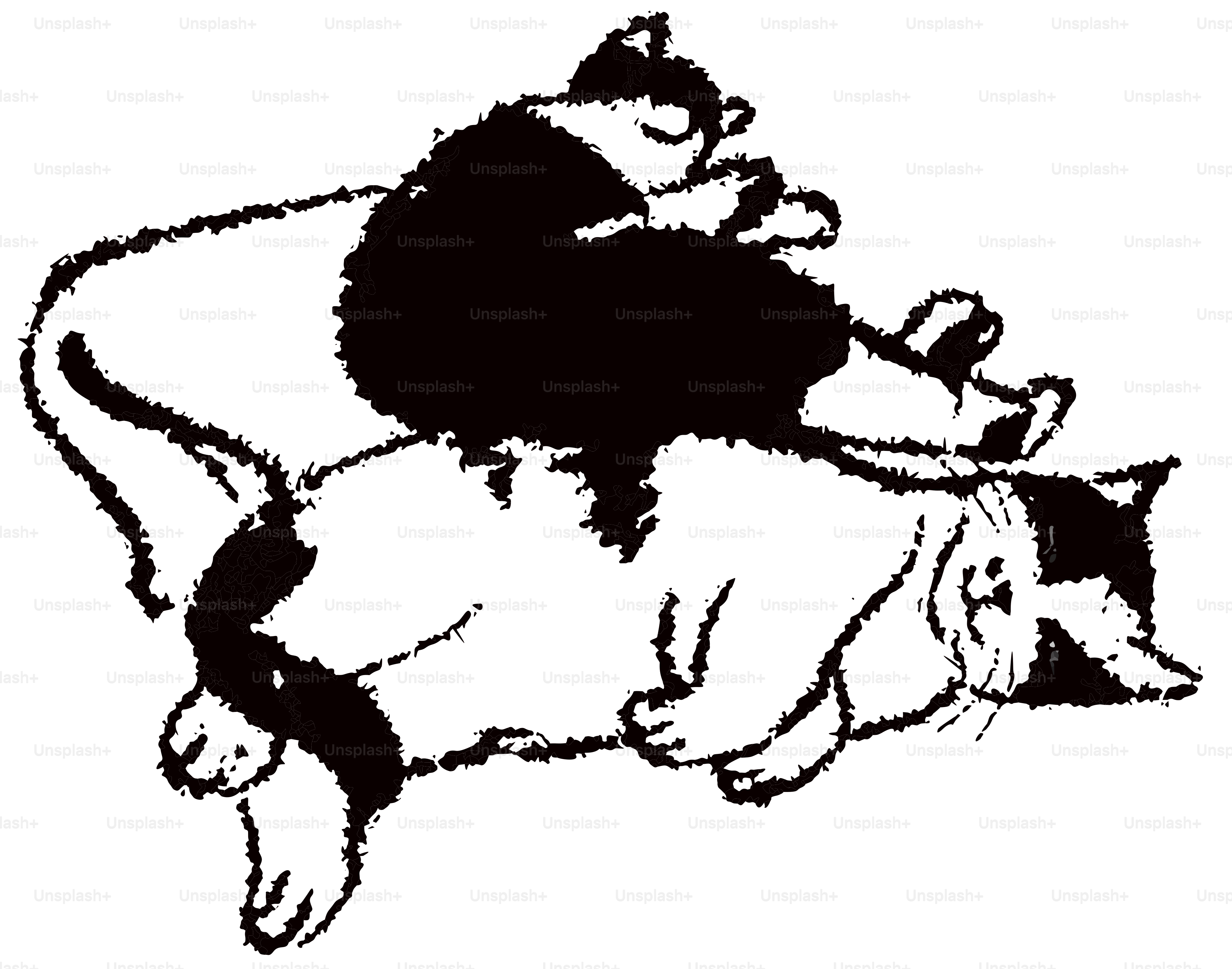 Two cats playfully wrestling on a white background