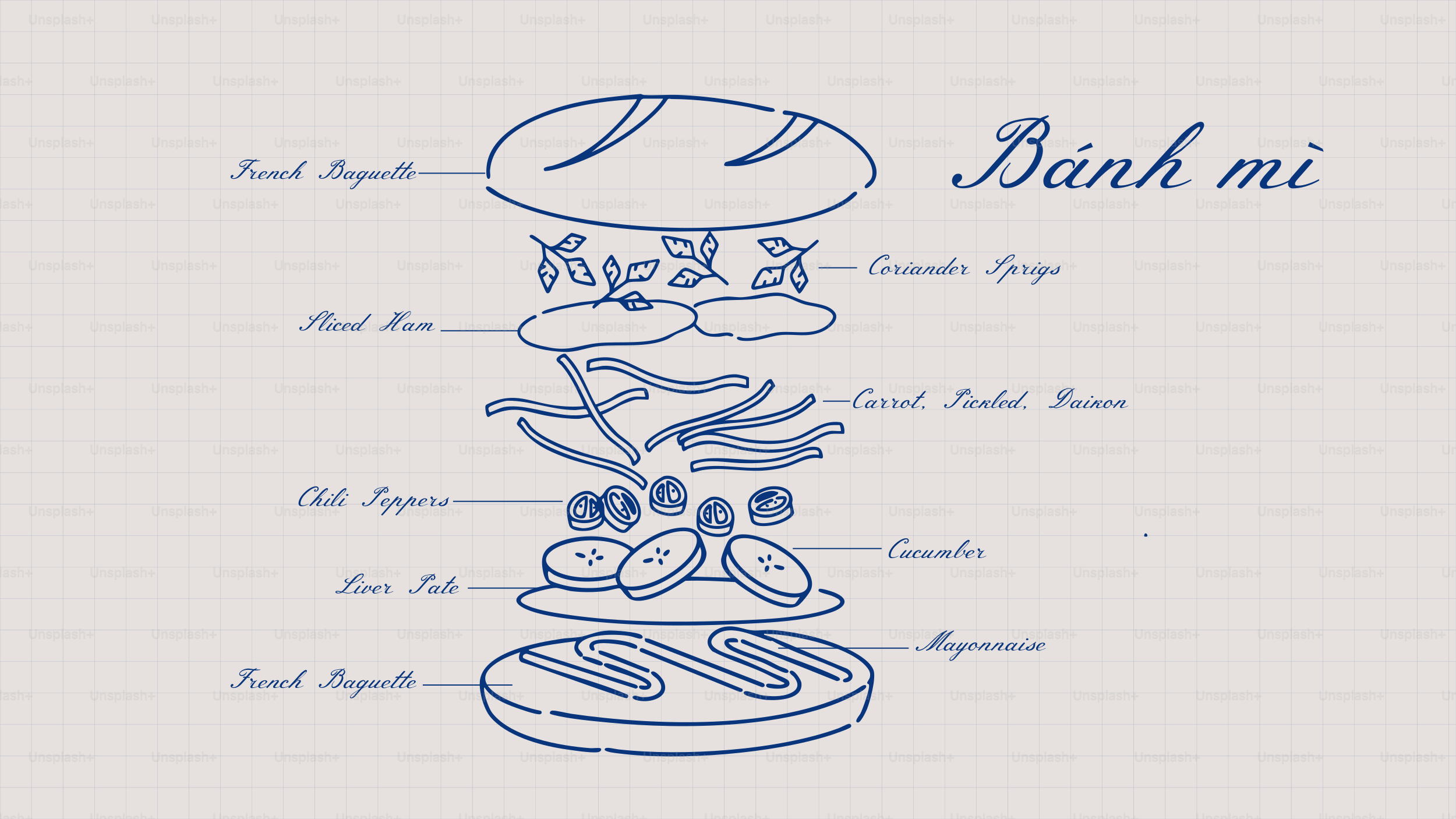 Exploded view of a banh mi sandwich ingredients
