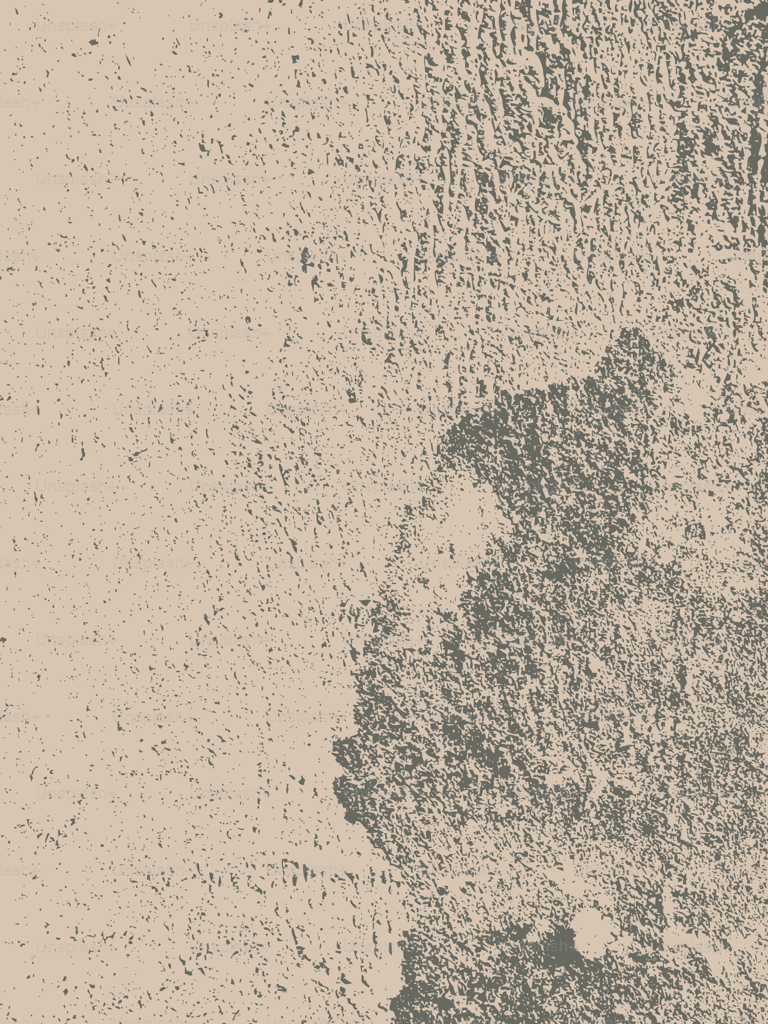 Textured concrete surface with a rough, uneven finish.