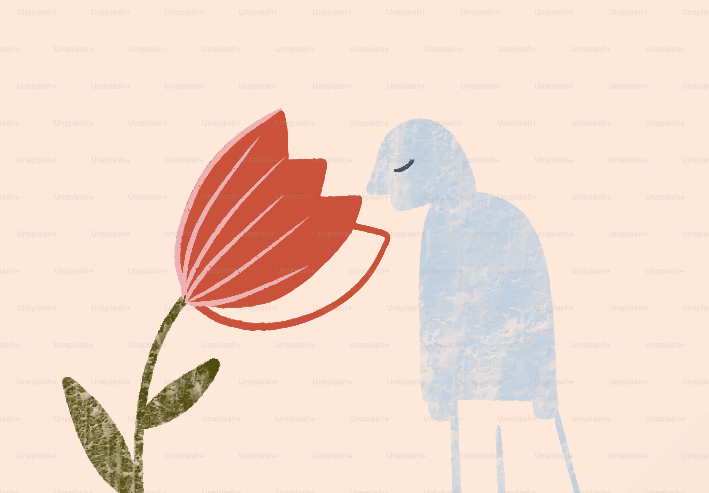 A person smelling a large red tulip flower.