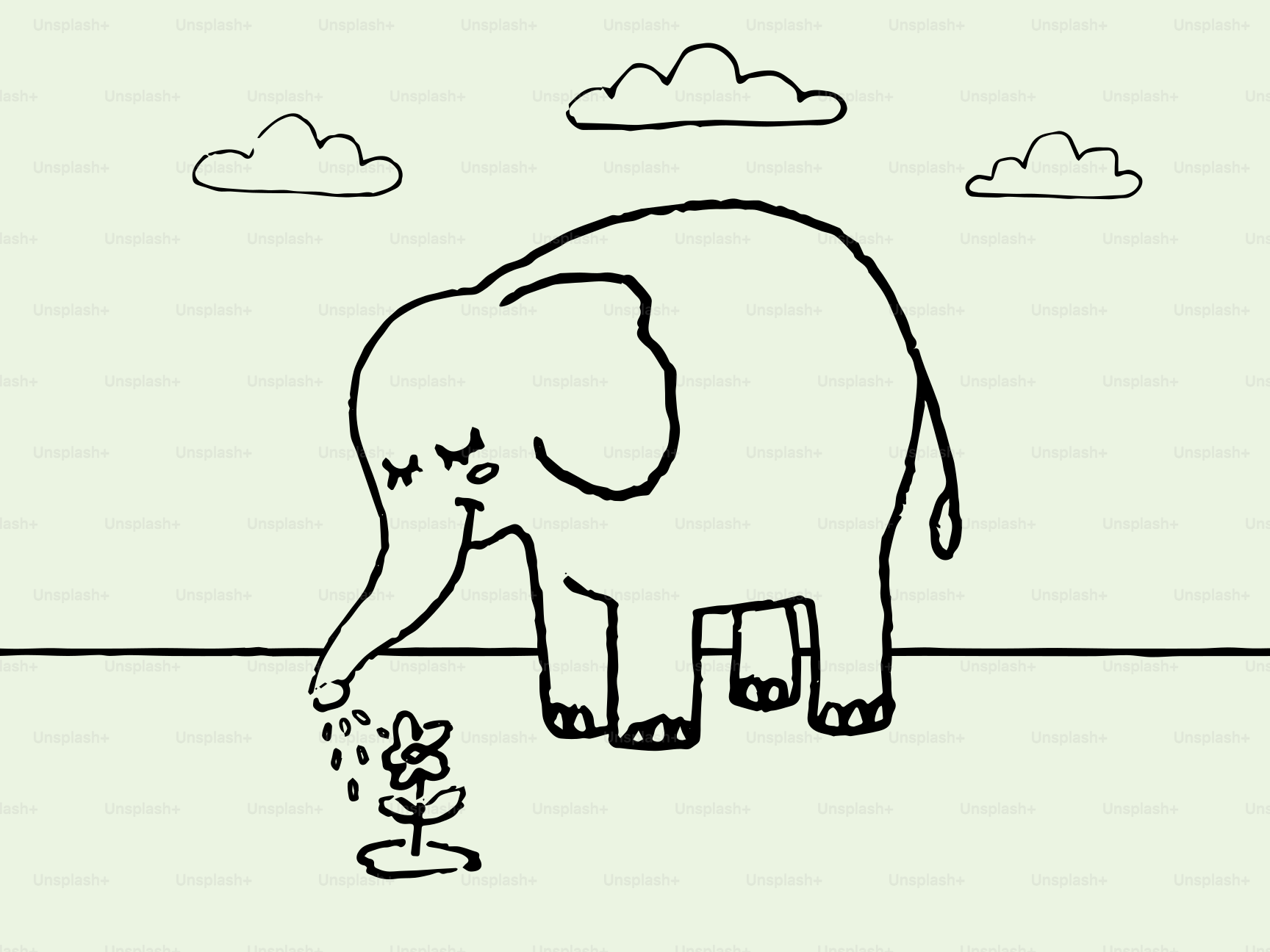 Éléphant arrosant une petite fleur avec sa trompe
