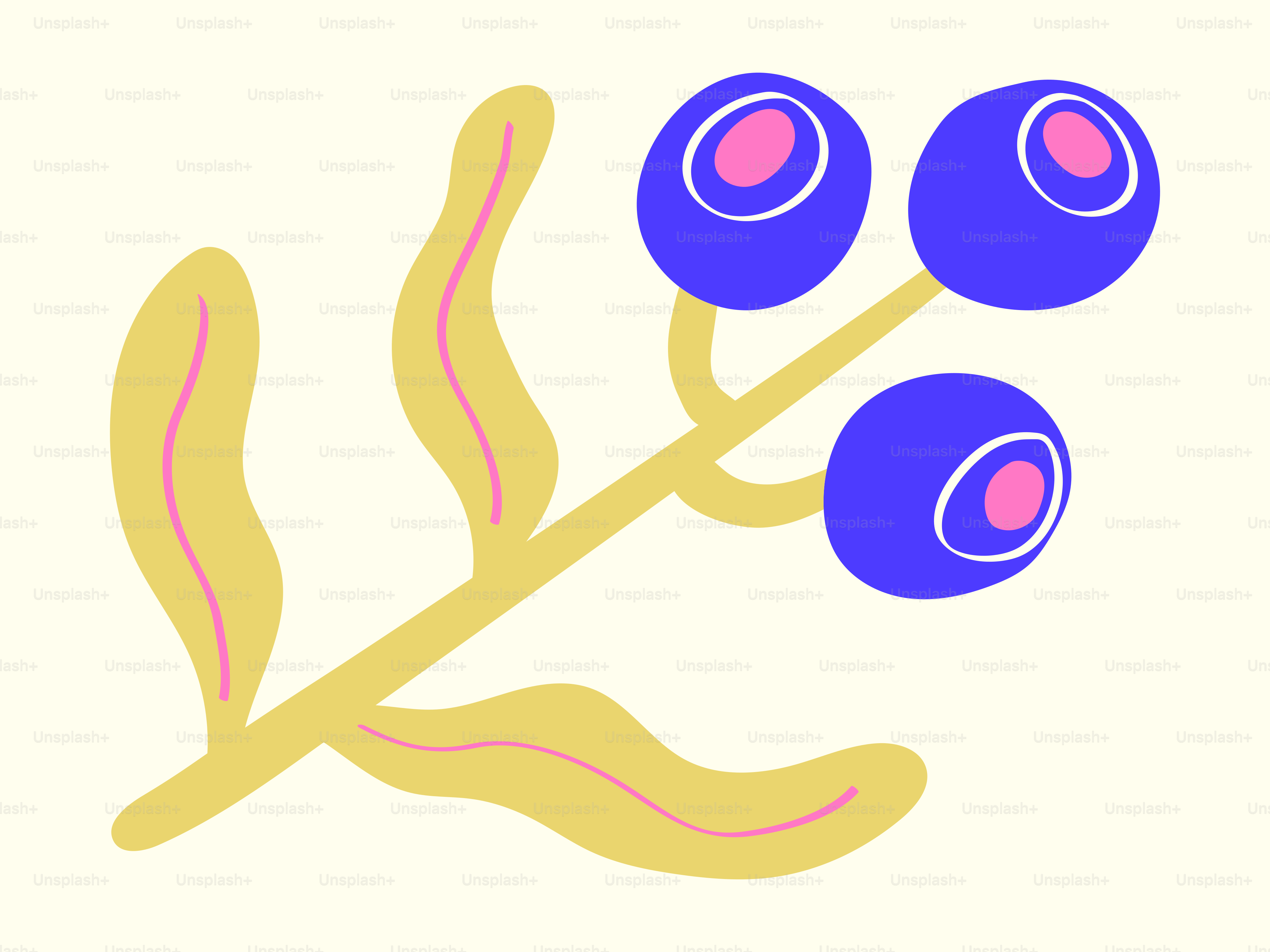 A stylized branch with three blueberries and leaves