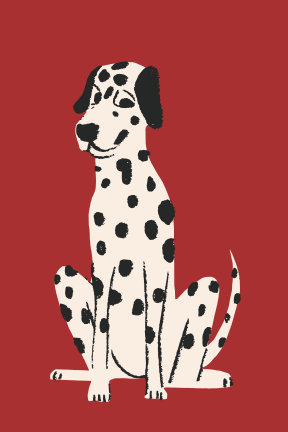 A dalmatian dog sits against a red background.