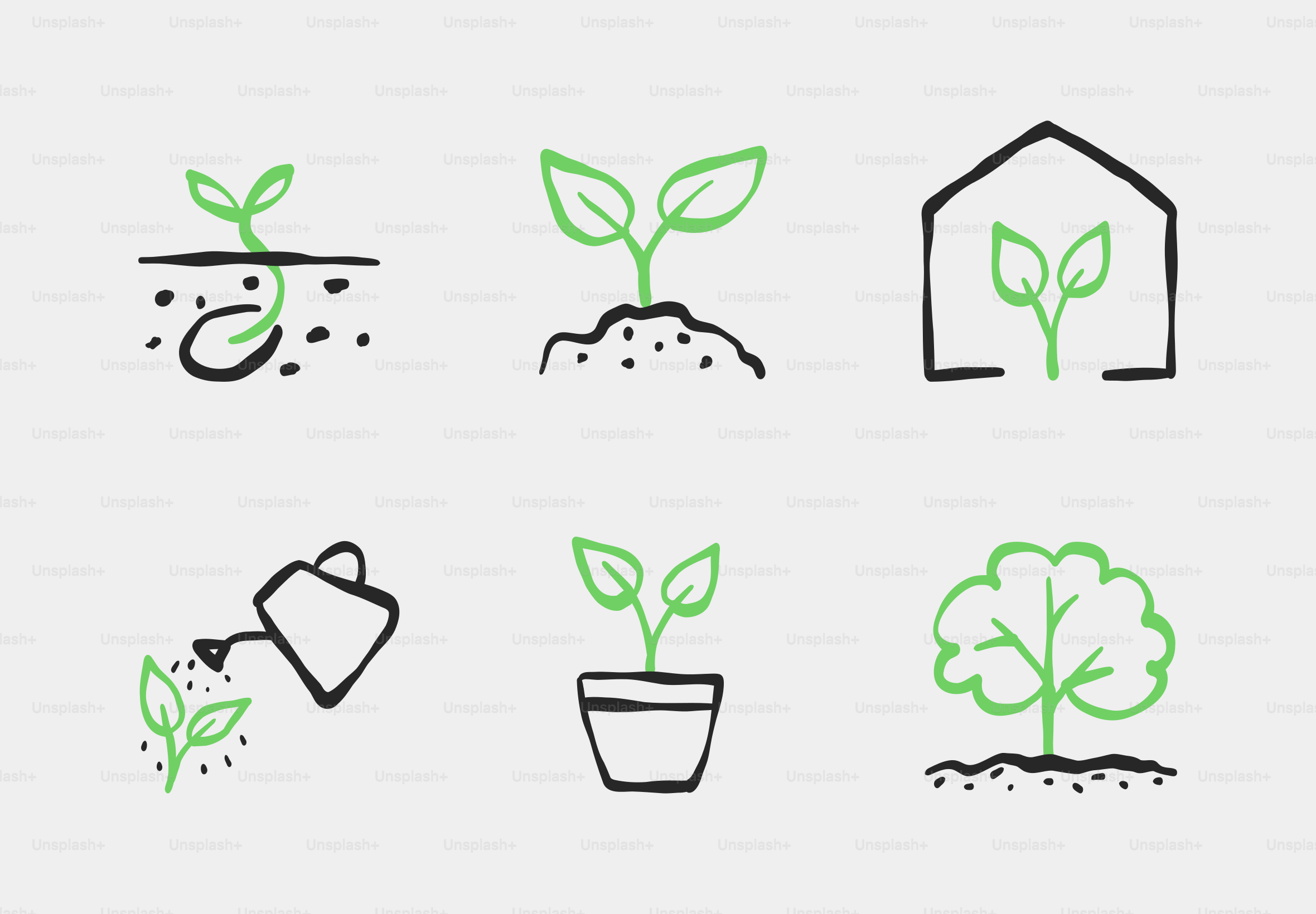 Six illustrations simples des stades de croissance des plantes