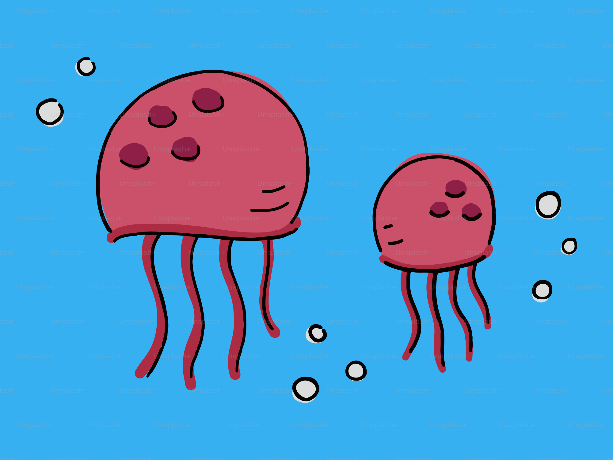 Zwei rosa Quallen schwimmen im blauen Wasser