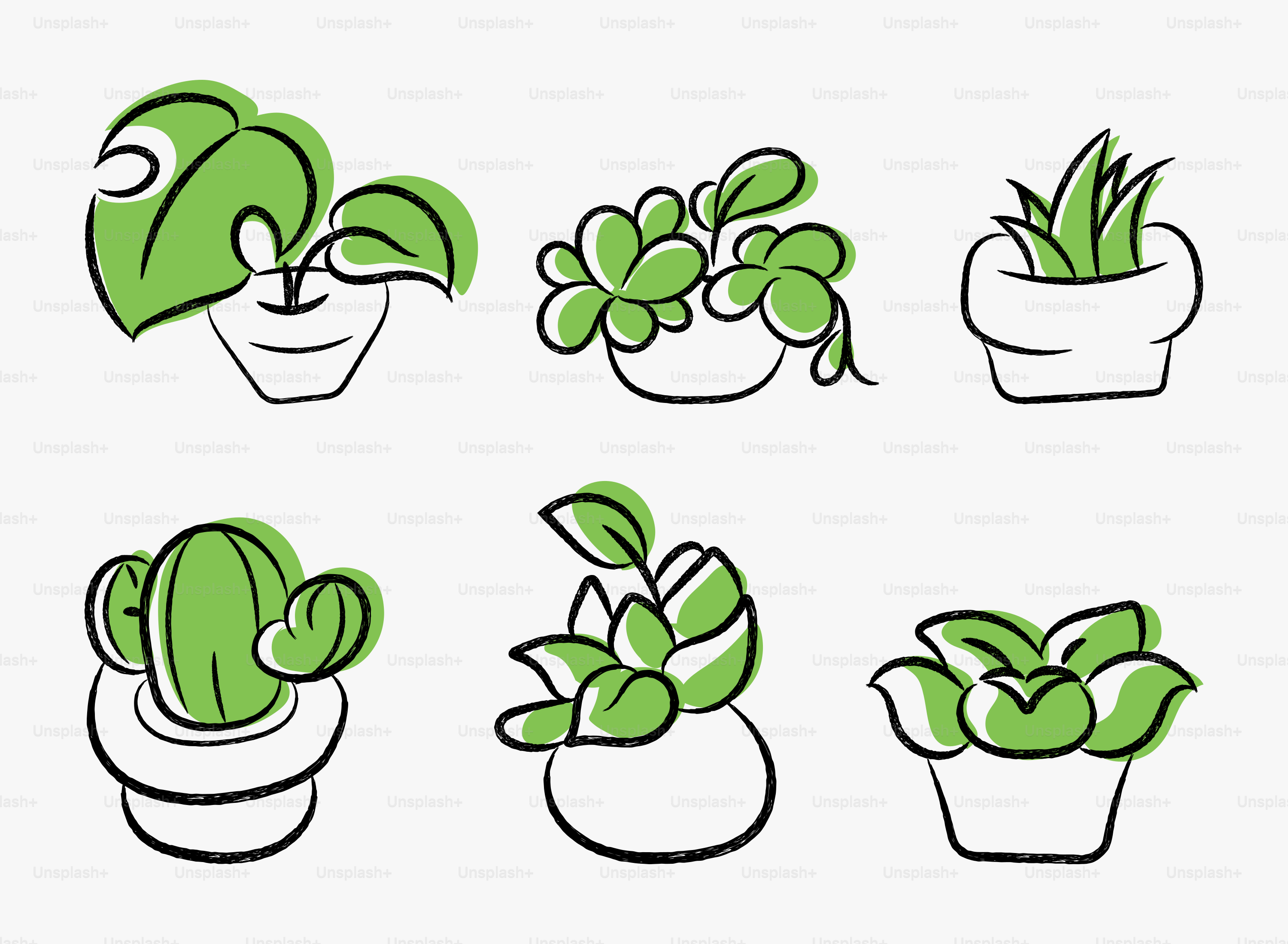 Six potted plants in a minimalist line art style