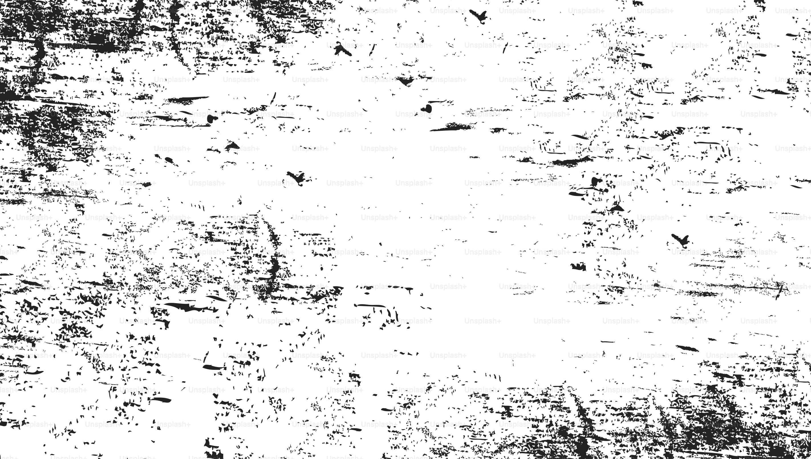 Abstract black and white textured background