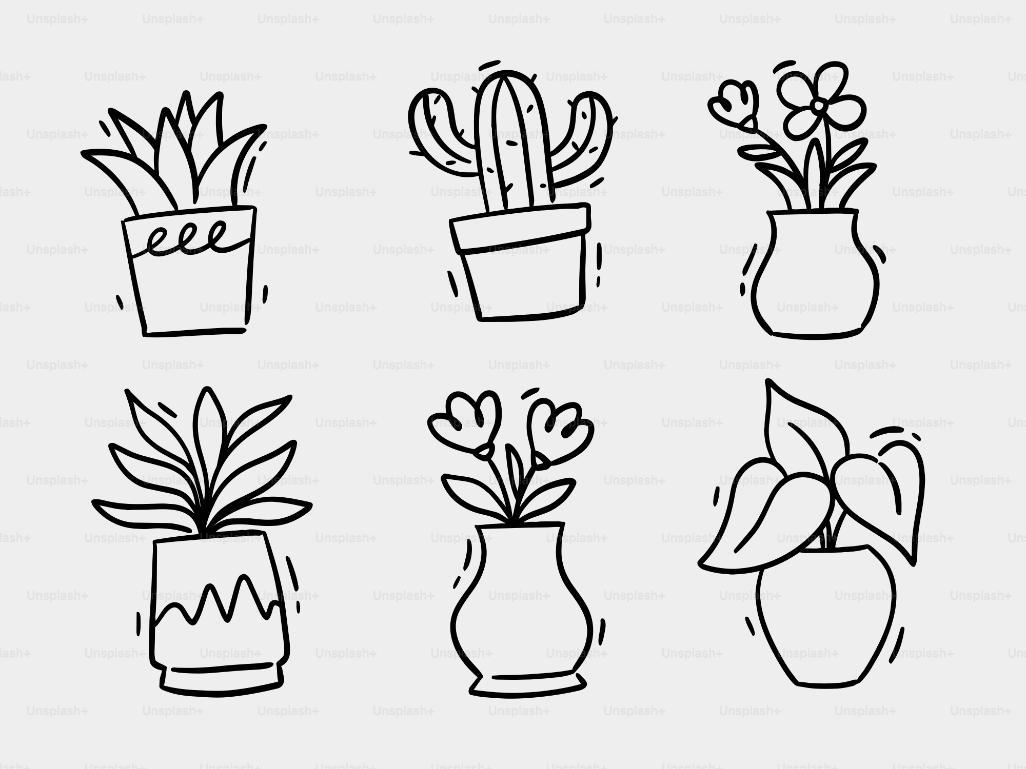 Six plantes en pot en style gribouillage