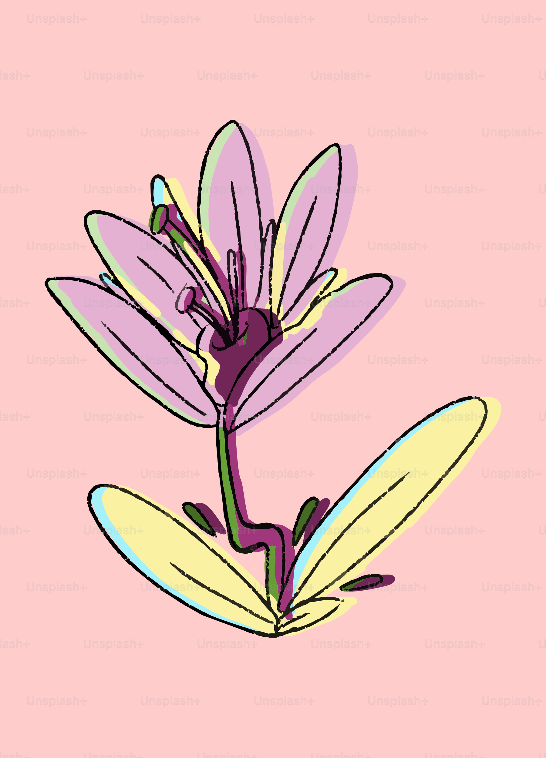 紫とピンクの花の様式化された絵。