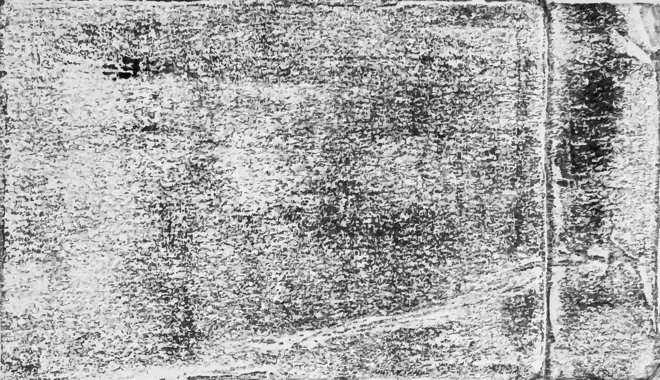 Aerial view of agricultural fields with visible patterns.