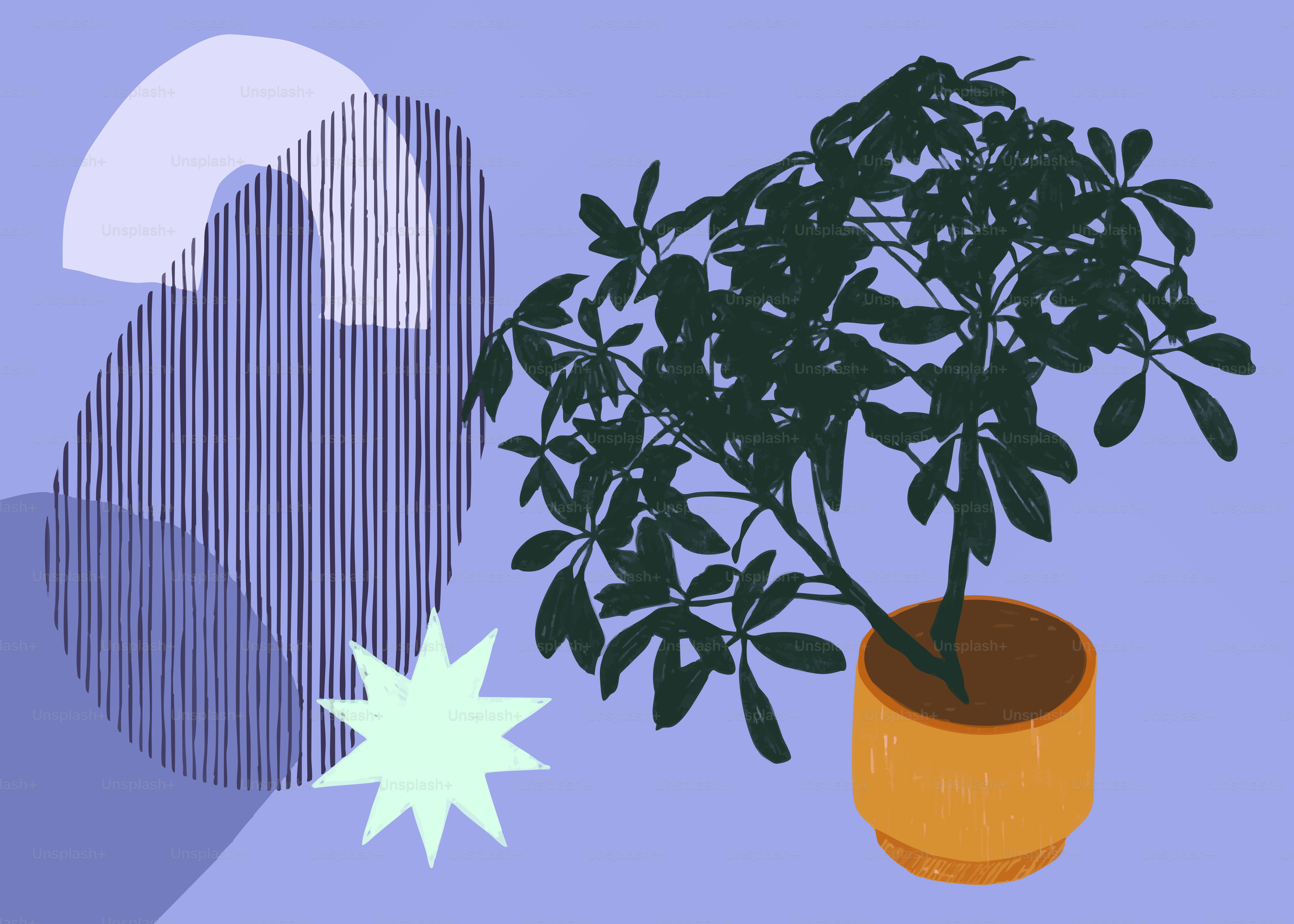 Una planta en maceta con formas abstractas de fondo.