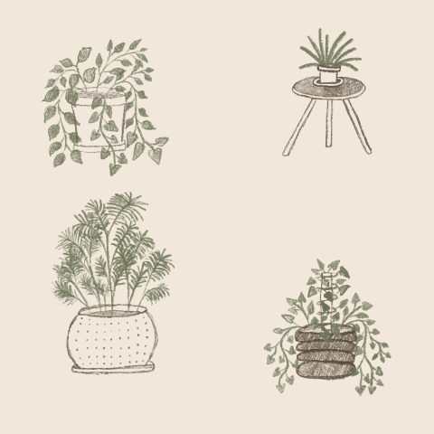 Four potted houseplants in a sketched style.