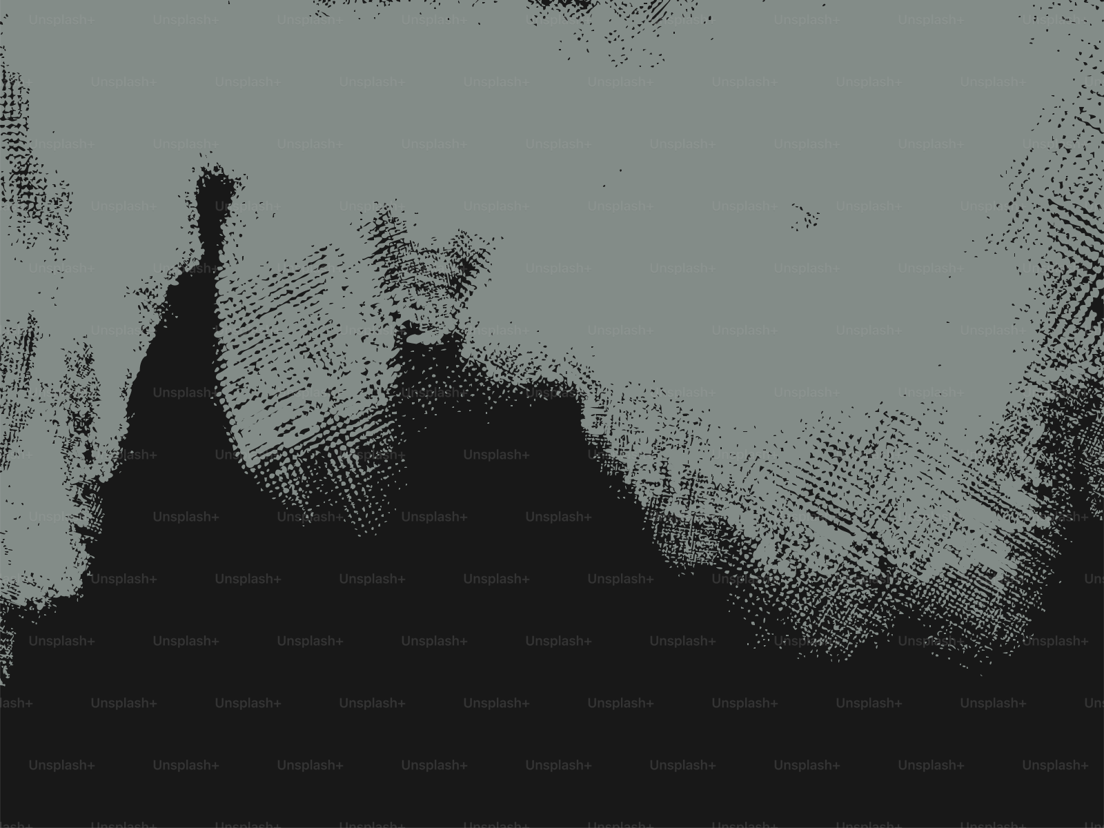 Abstract textured background in black and grey