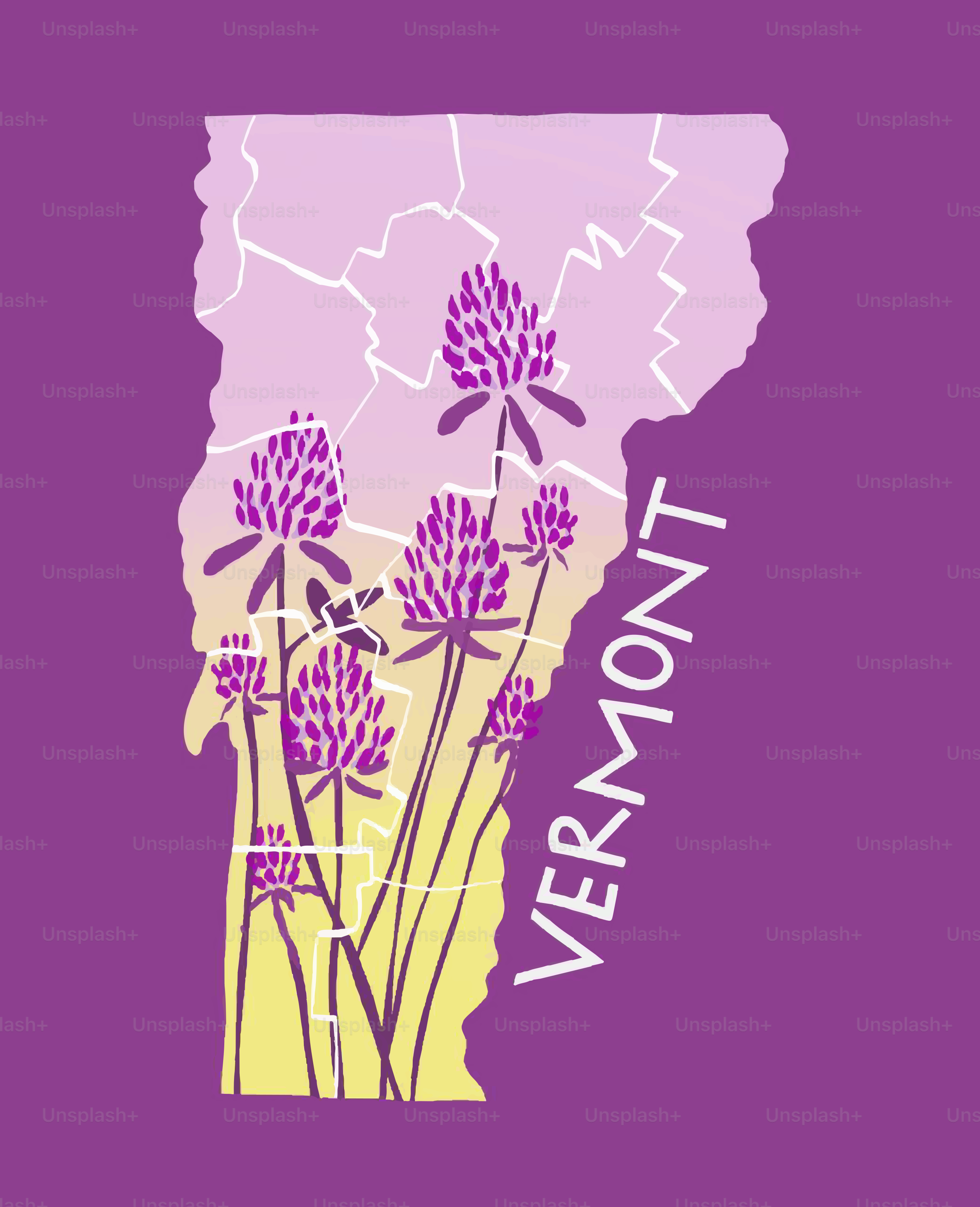 Contour de l’État du Vermont avec des fleurs de trèfle violet
