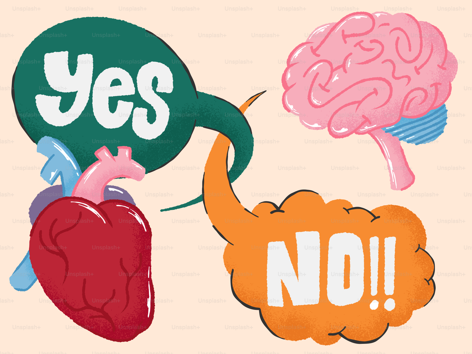 Herz und Gehirn mit Ja- und Nein-Sprechblasen
