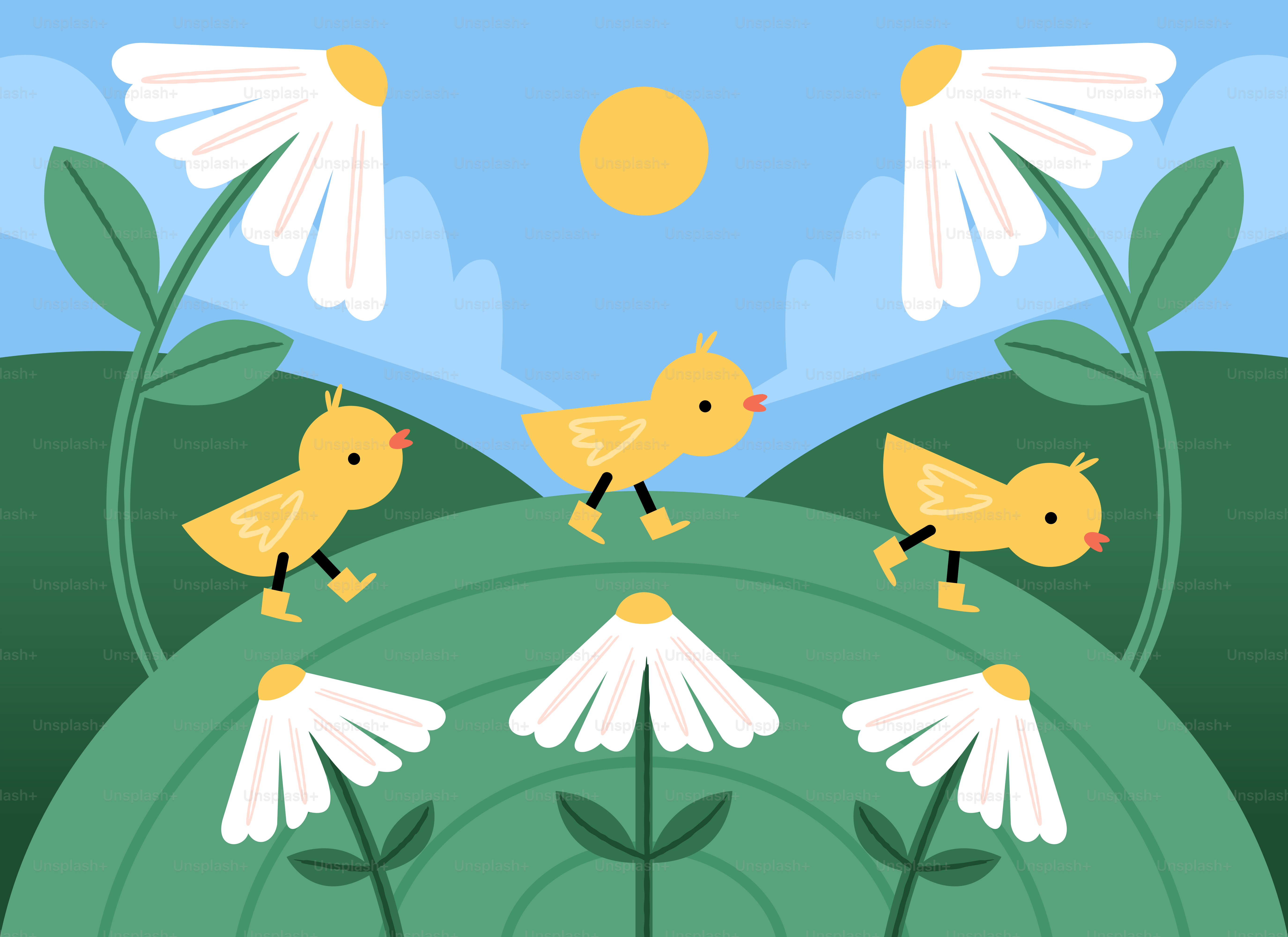 Three yellow chicks walk through a field of daisies.