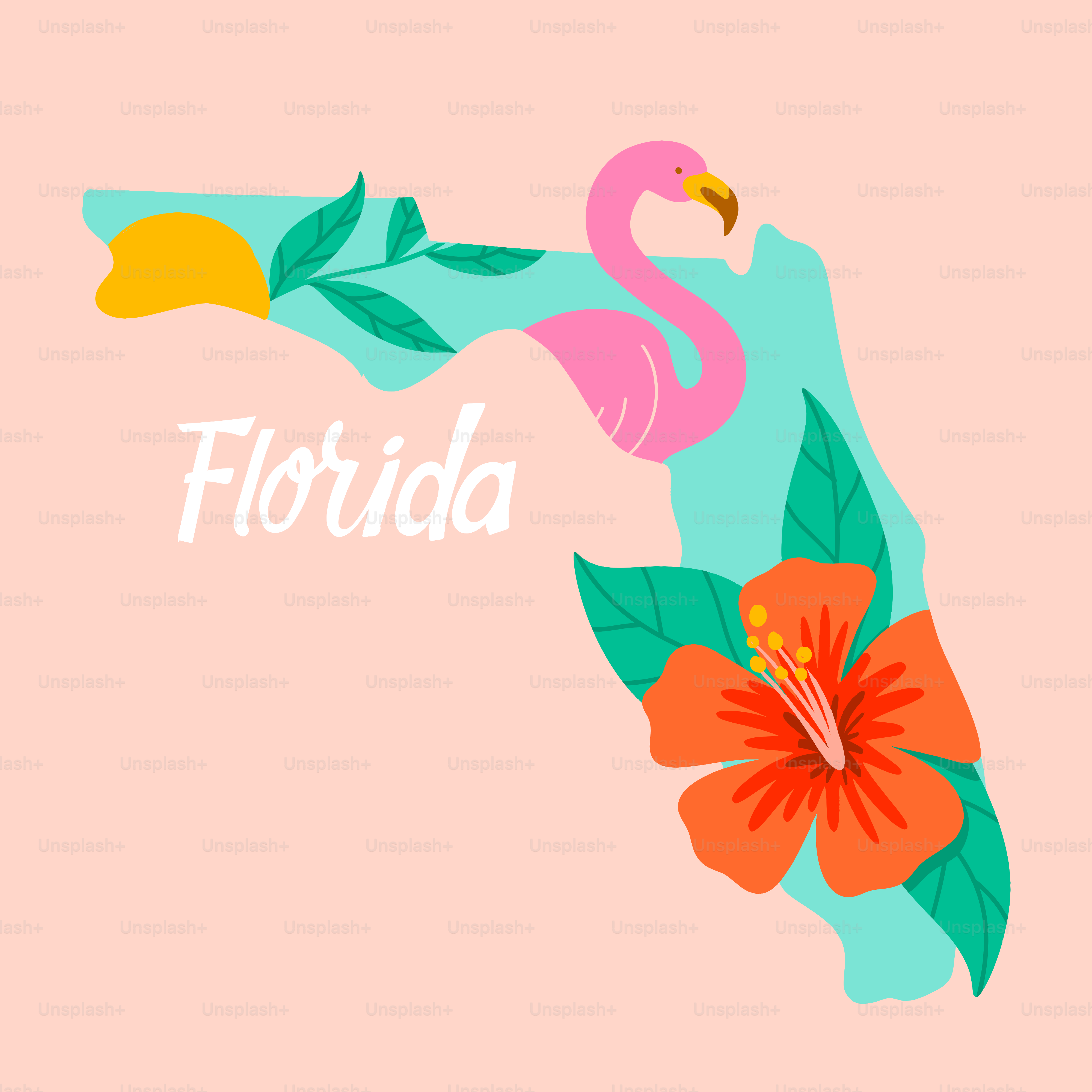 Contorno dello stato della Florida con fiori di fenicottero e ibisco.