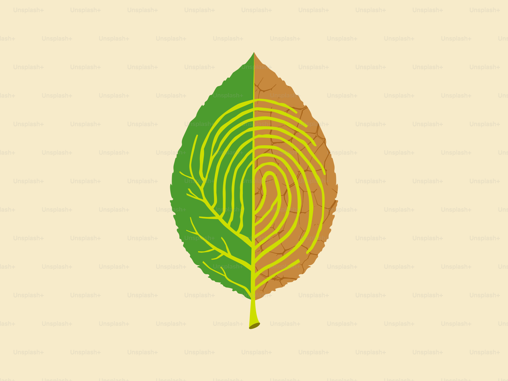 Leaf with fingerprint pattern on one half