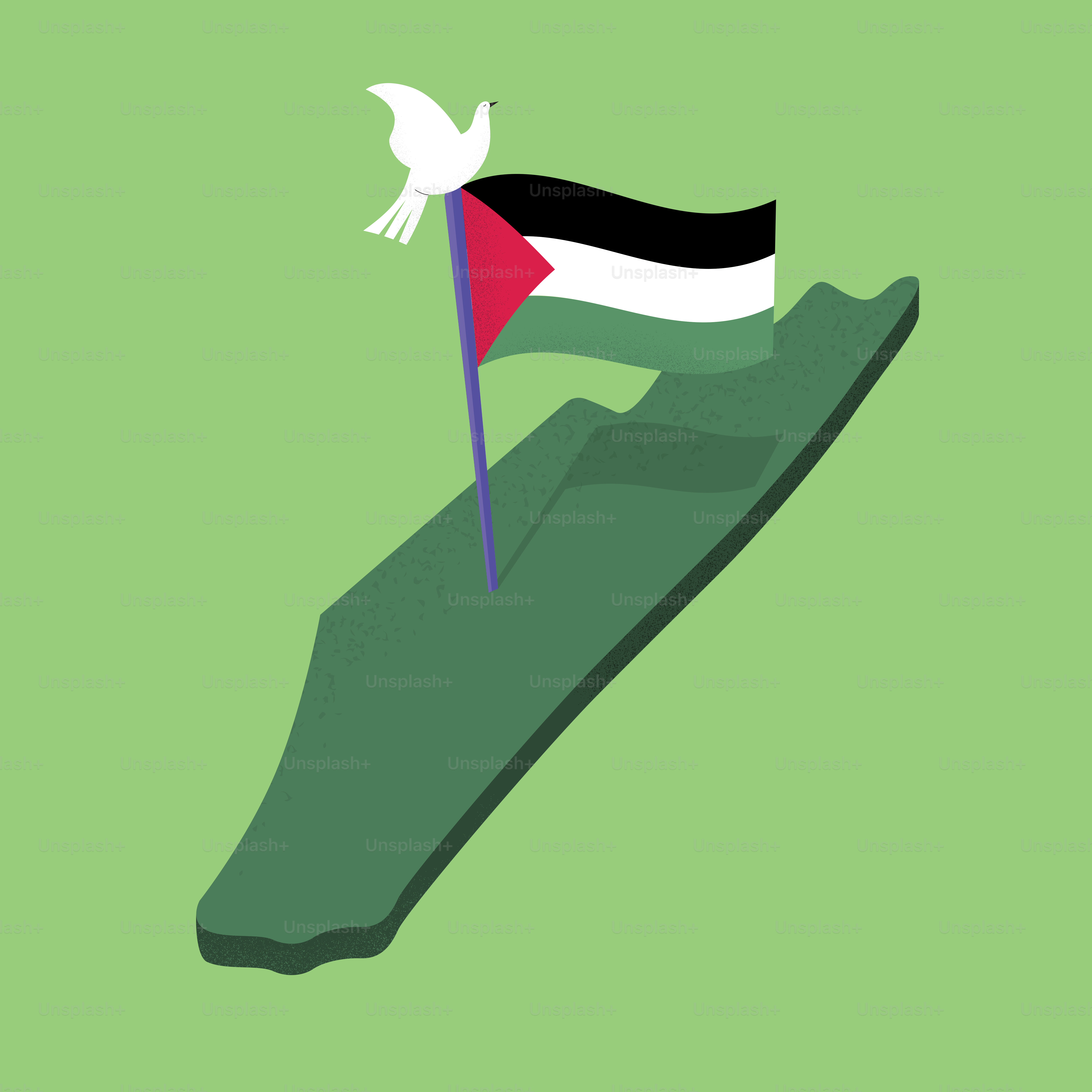 Palestine flag with dove on green map