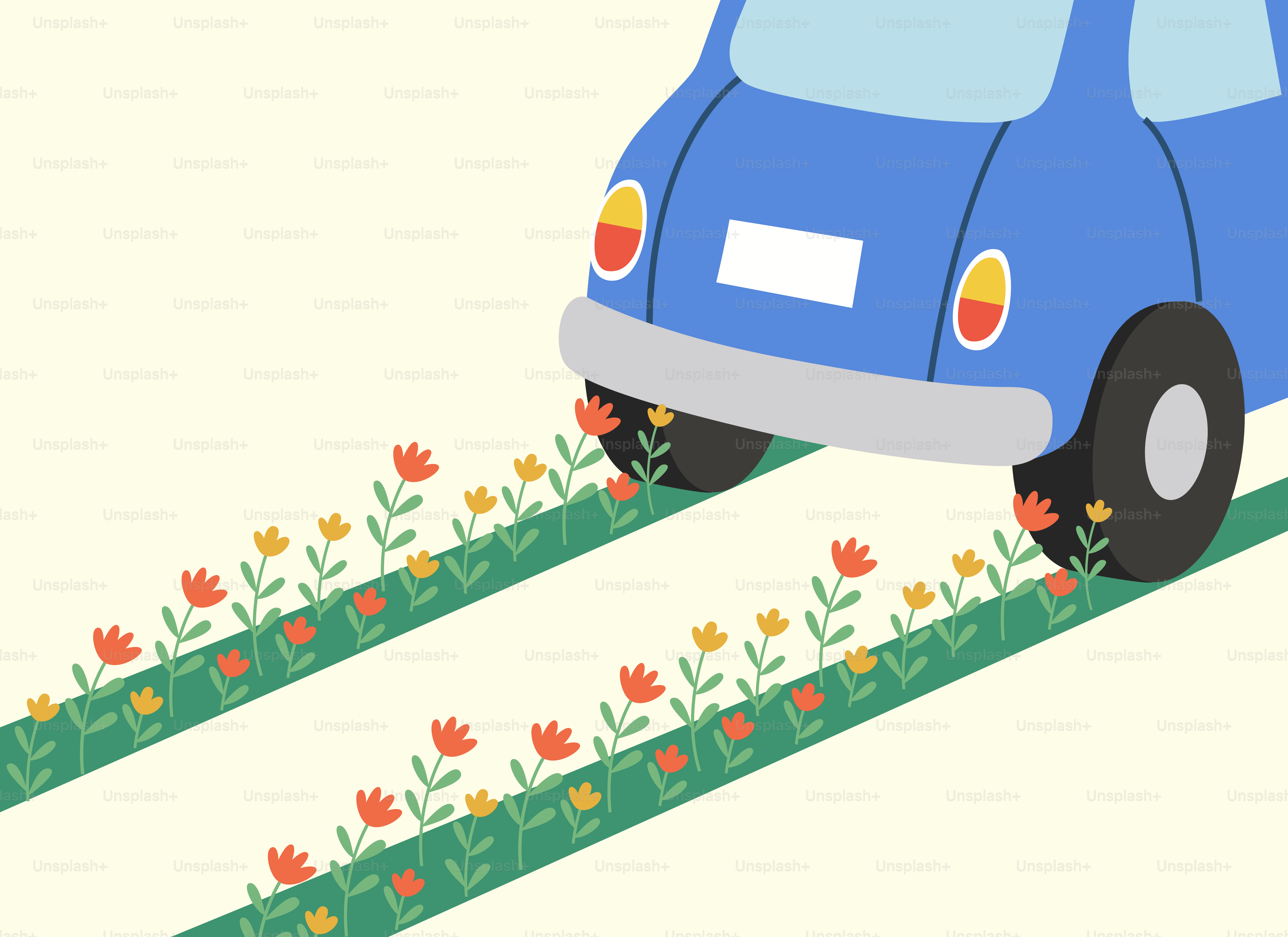 Blue car drives past flowers on a path
