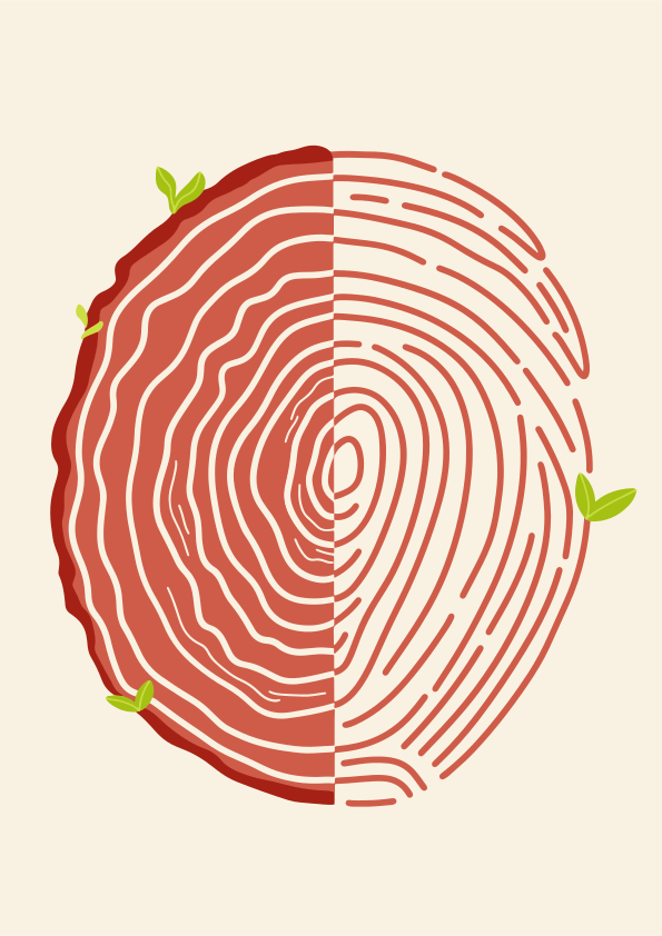 Les cernes et les empreintes digitales des arbres se fusionnent avec les feuilles en pousse