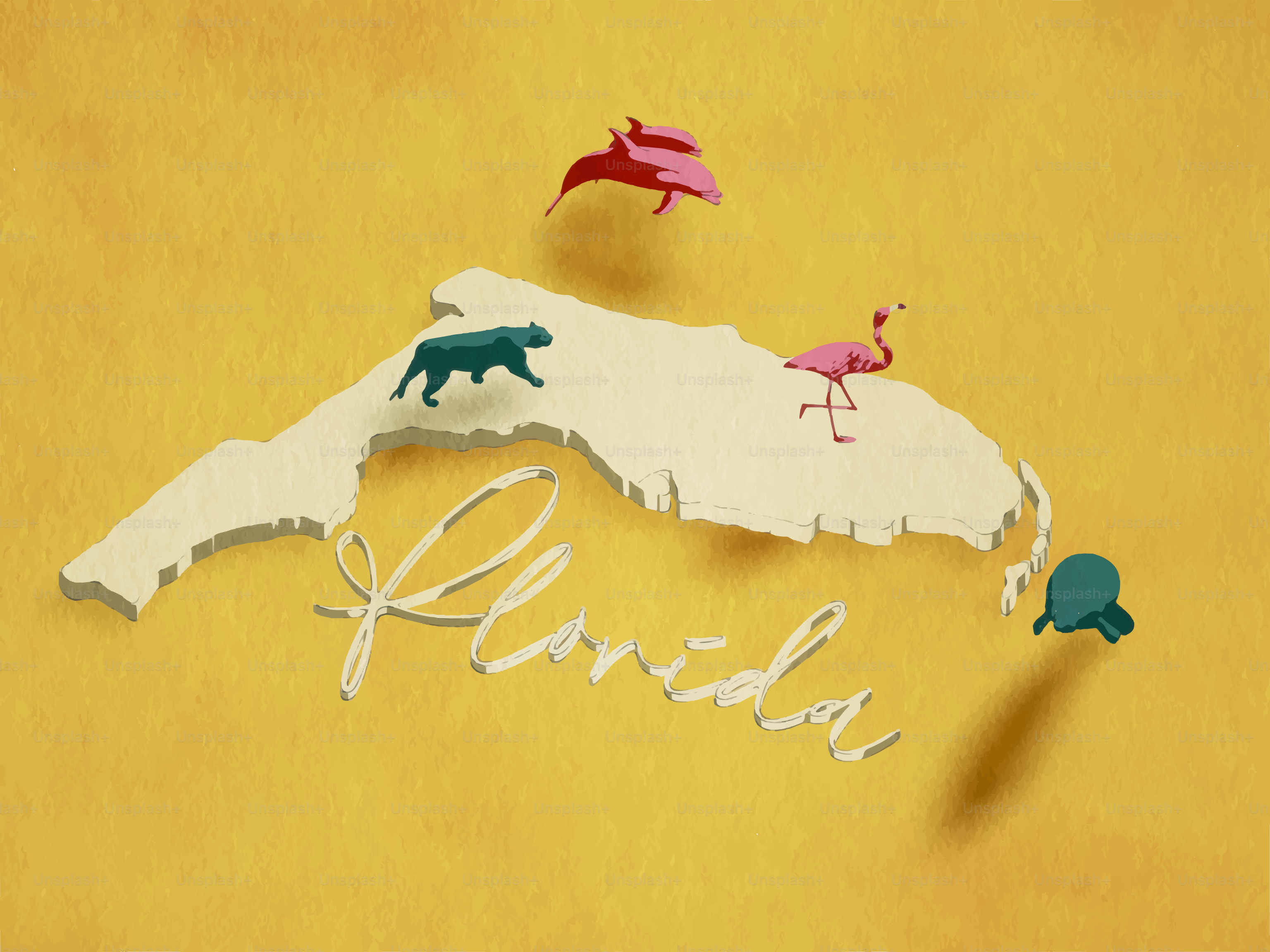 Mapa de Florida con animales y texto