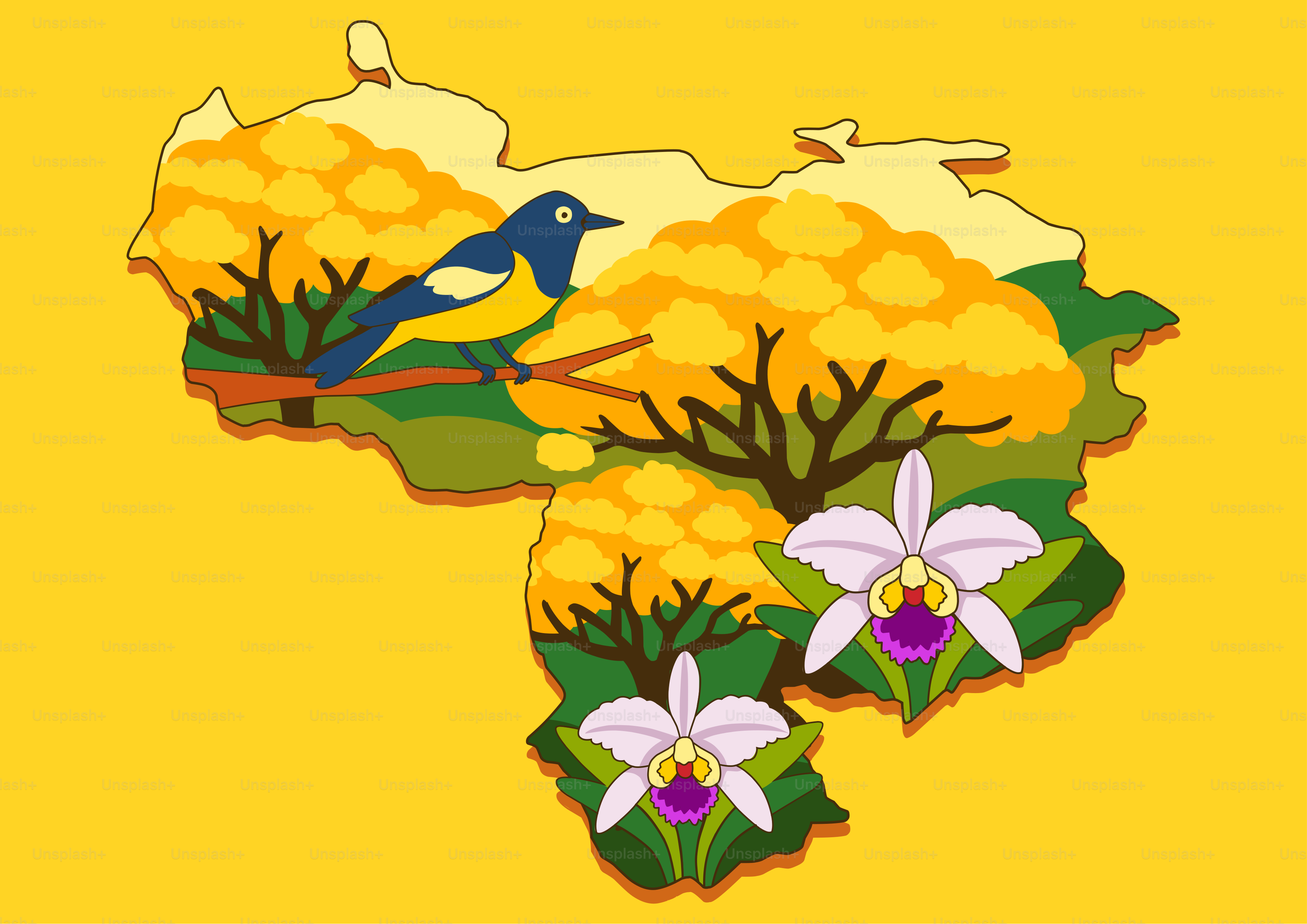 Carte du Venezuela avec oiseaux et orchidées