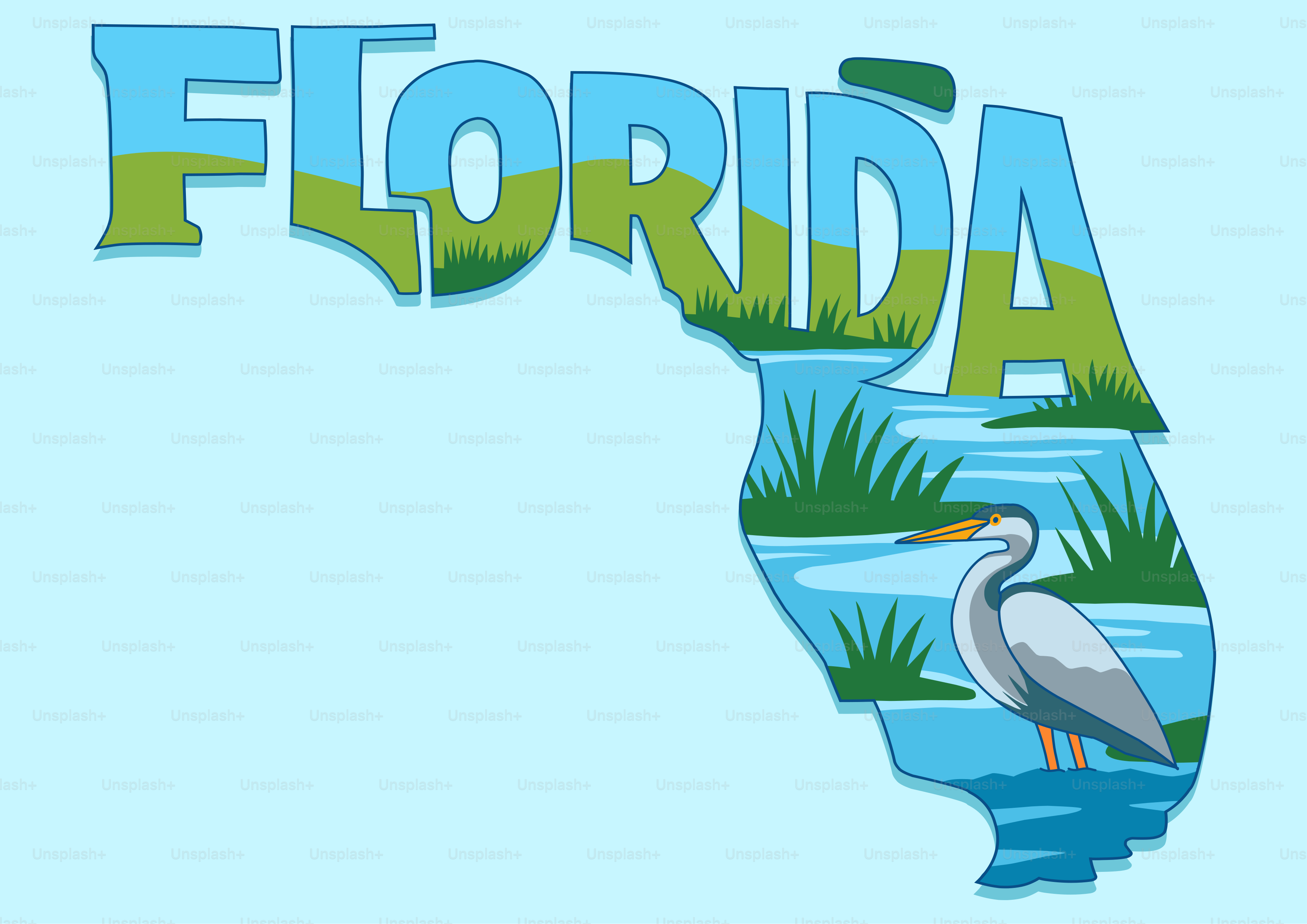 Carte de la Floride avec hérons et paysages marécageux