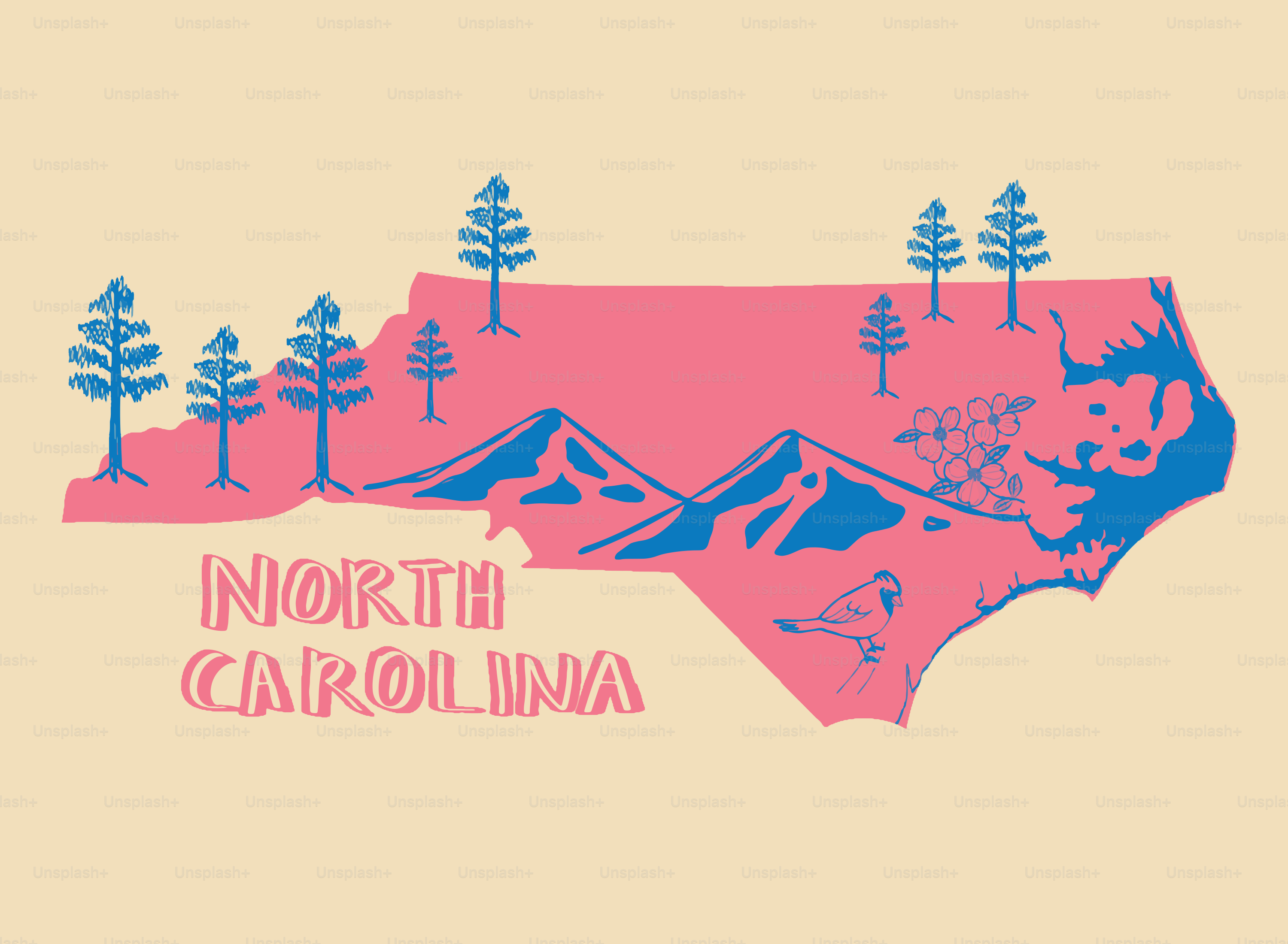 Carolina do Norte contorna montanhas e árvores