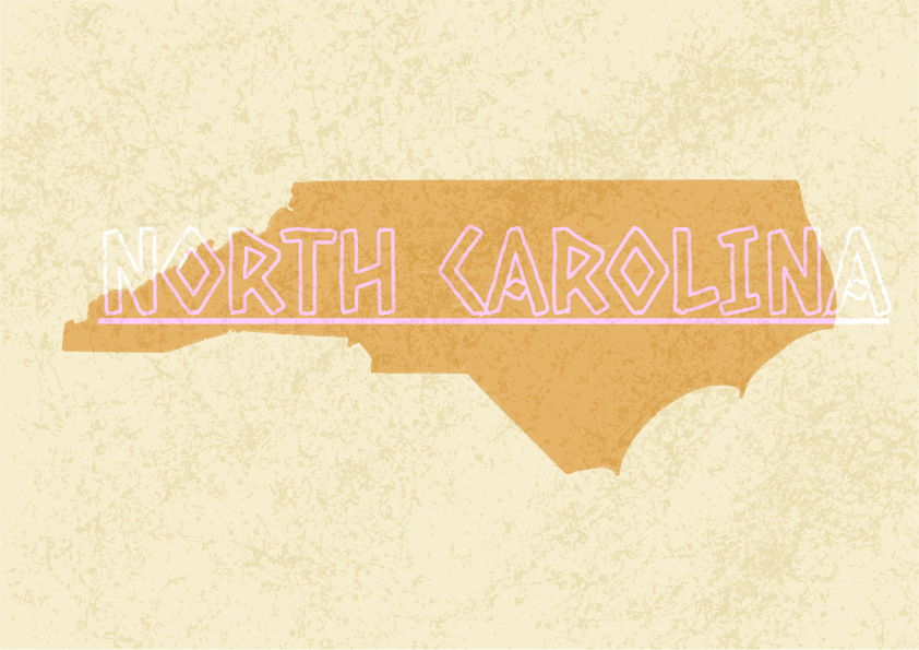 Outline of north carolina with neon text