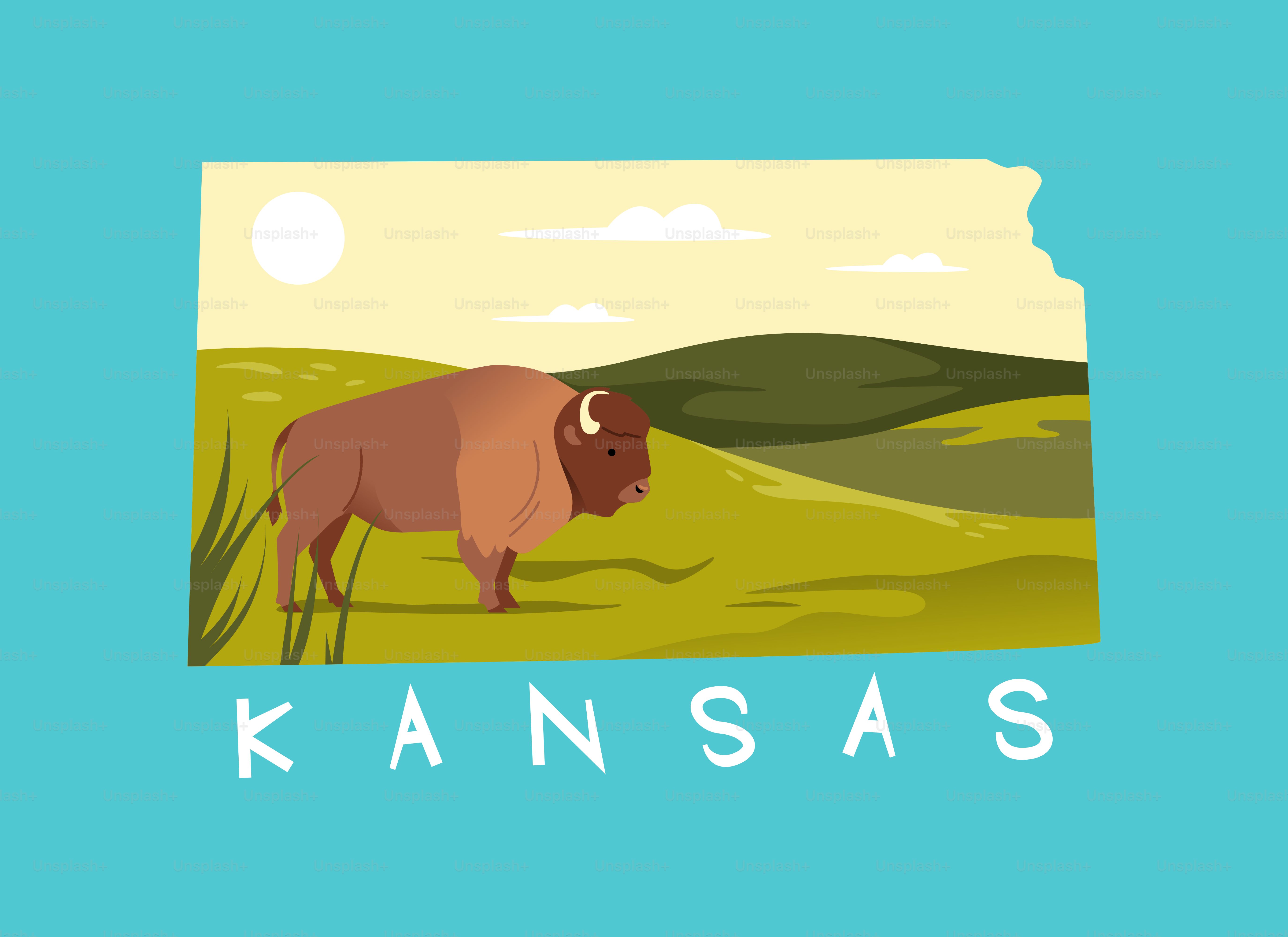 Bison in a kansas landscape with rolling hills