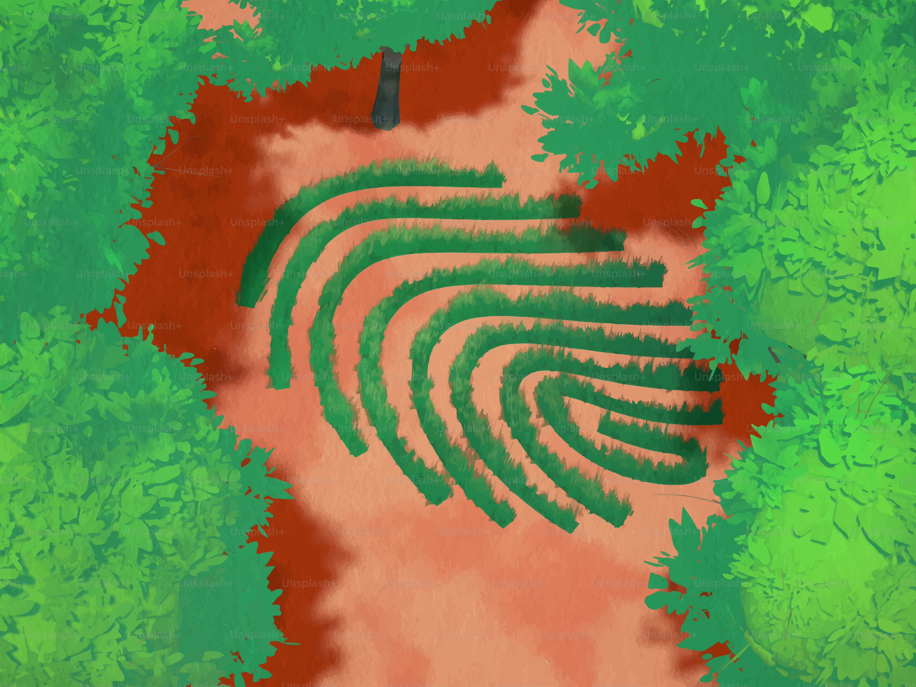 Aerial view of a green maze in a forest clearing.
