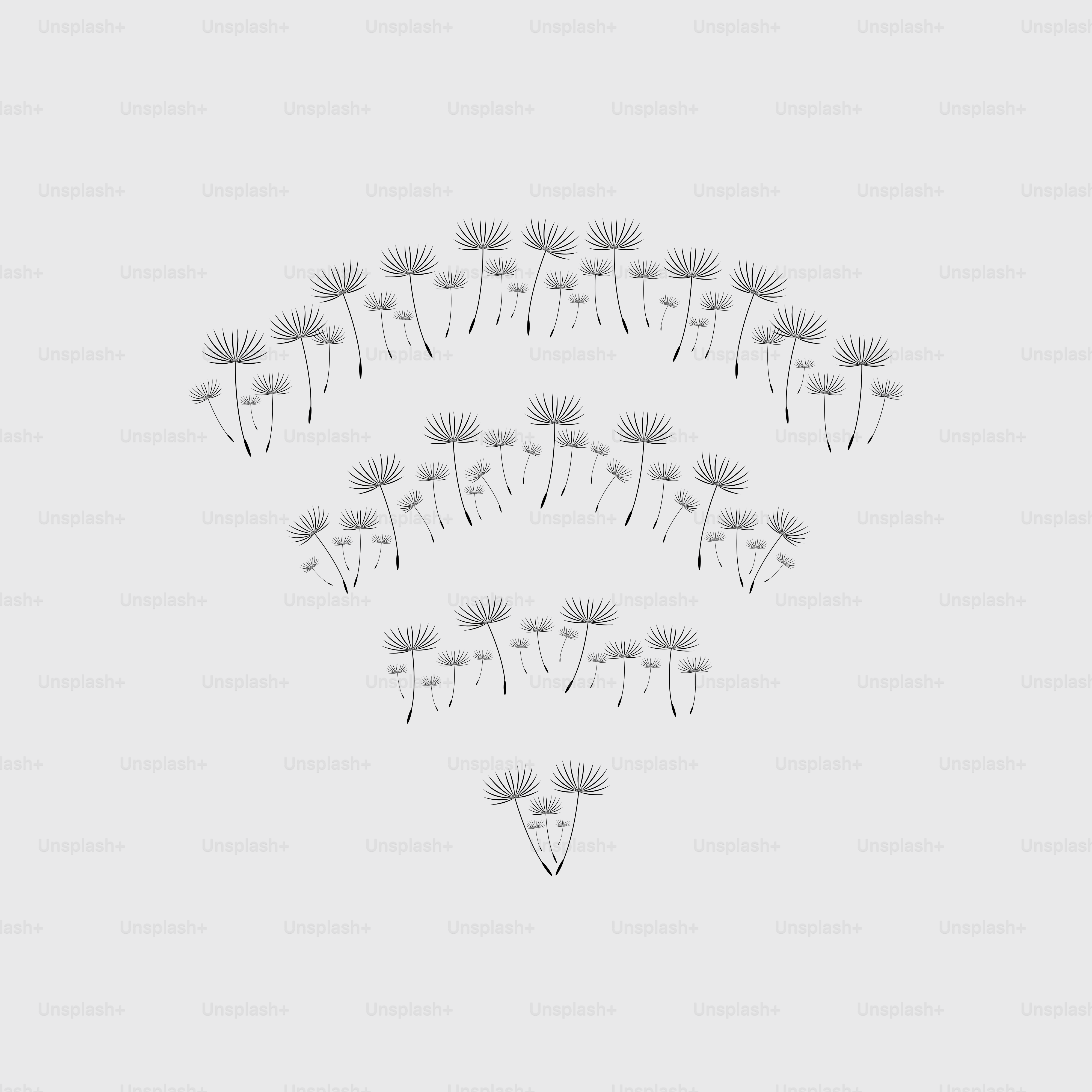Dandelion seeds arranged in a wifi symbol