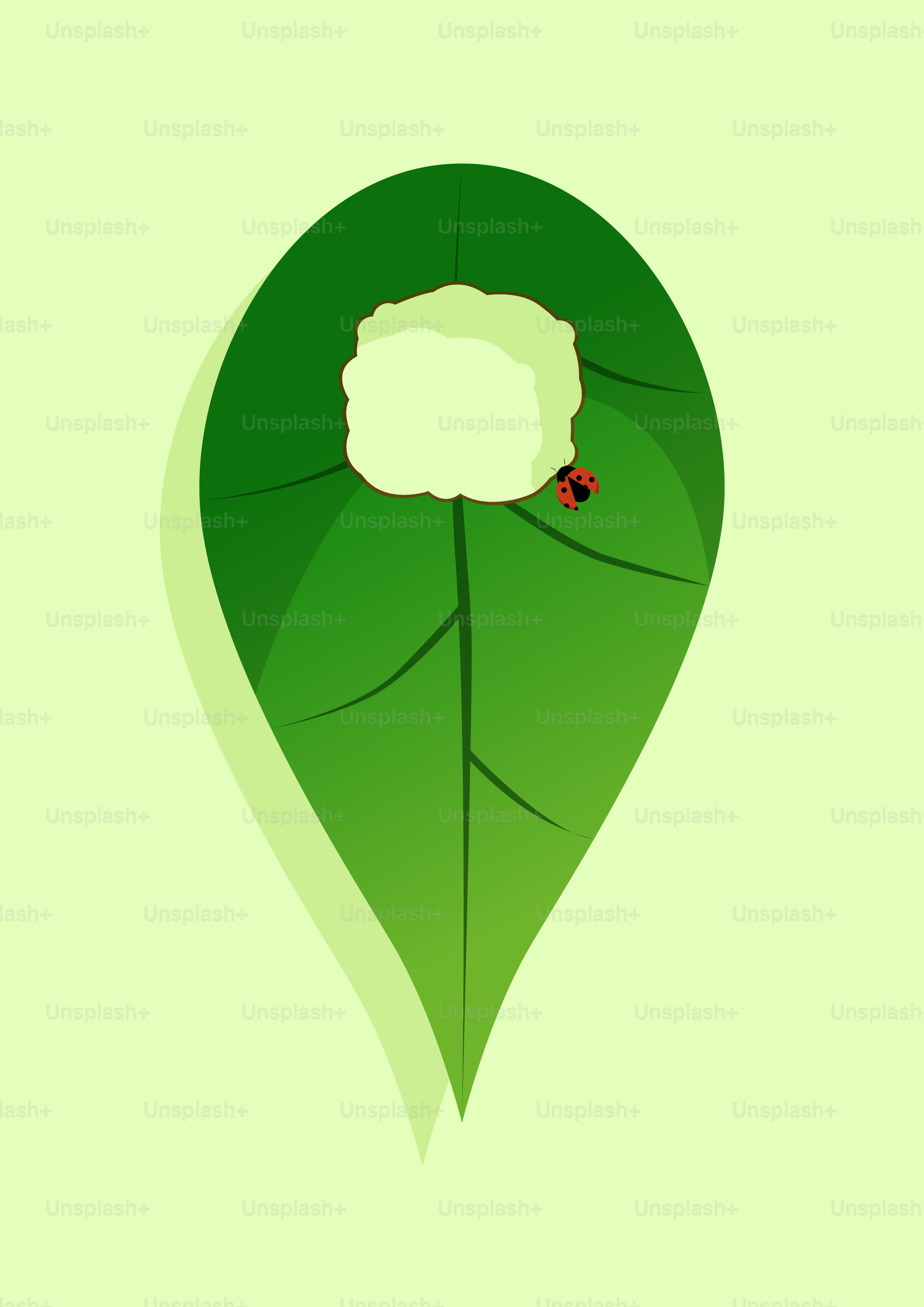 Una mariquita sobre una hoja verde con un agujero