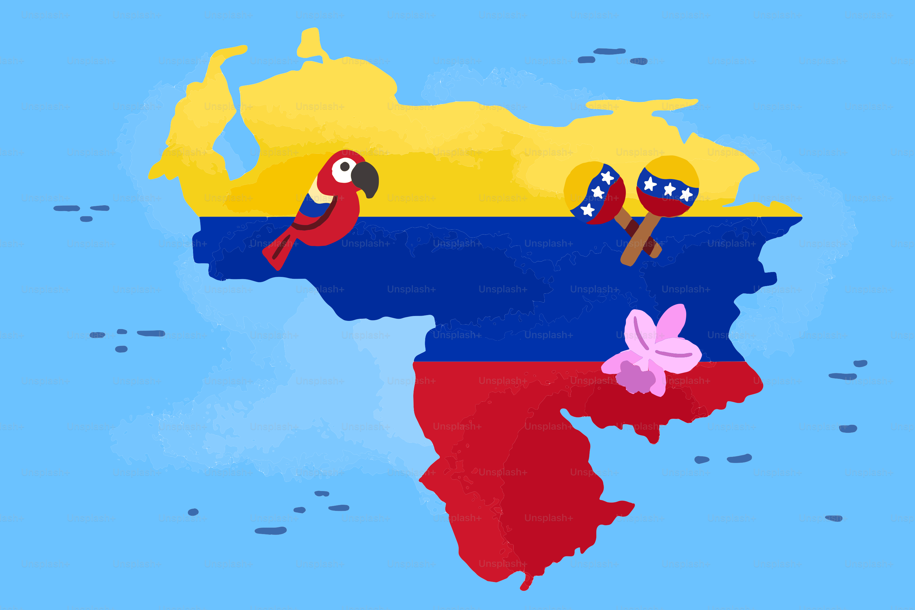Map of venezuela with flag colors, parrot, maracas, and flower.