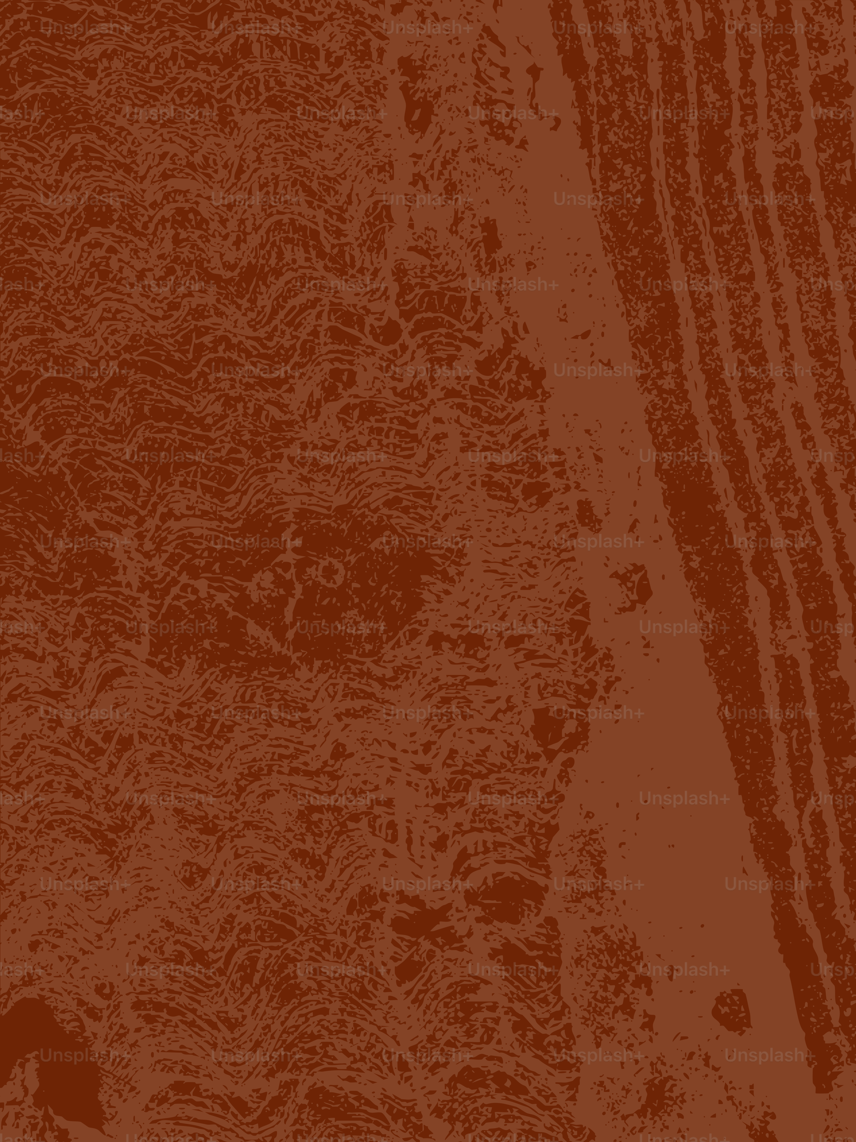 Close-up abstract texture of brown wood grain