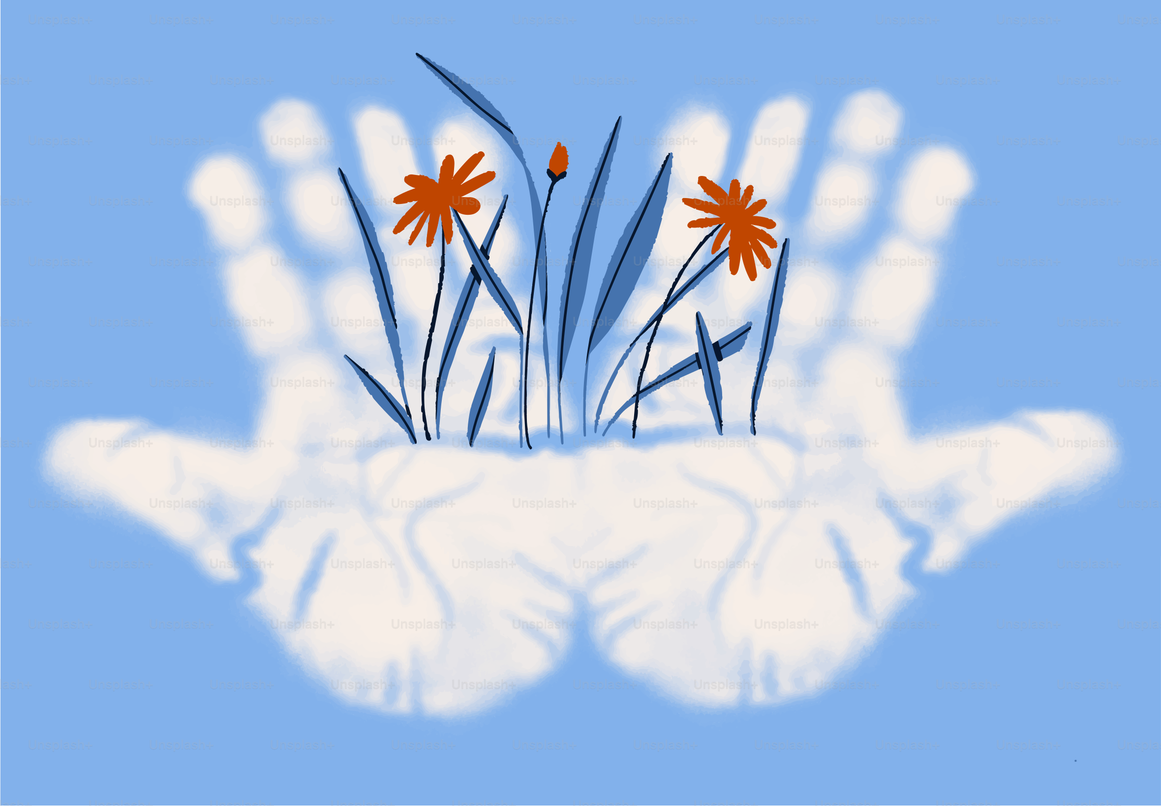 Dos manos en forma de concha sosteniendo delicadas flores naranjas.