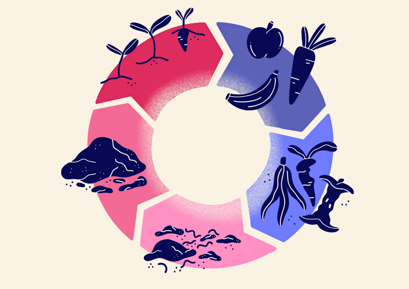 Circular diagram showing plant growth and decomposition cycle vector ...