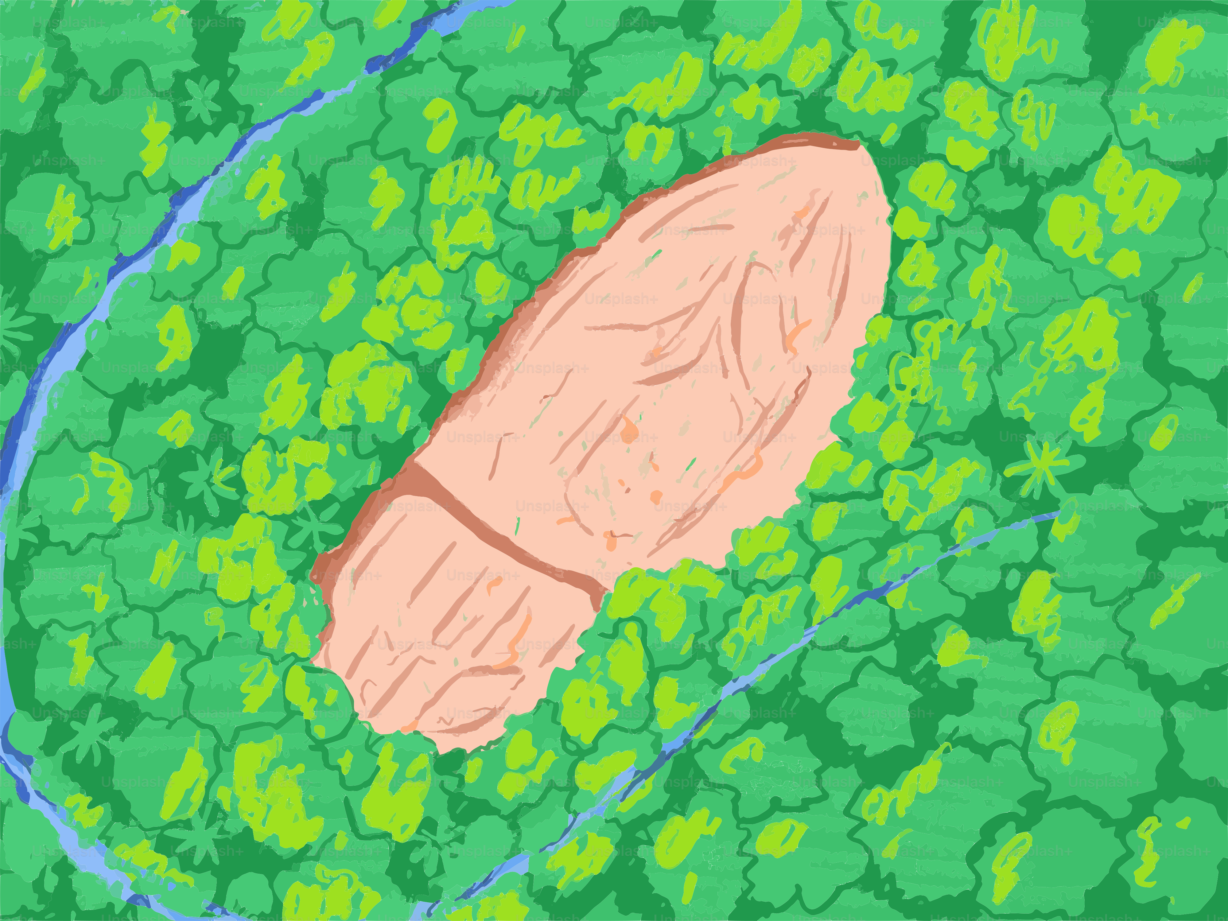 A single footprint in a lush green forest