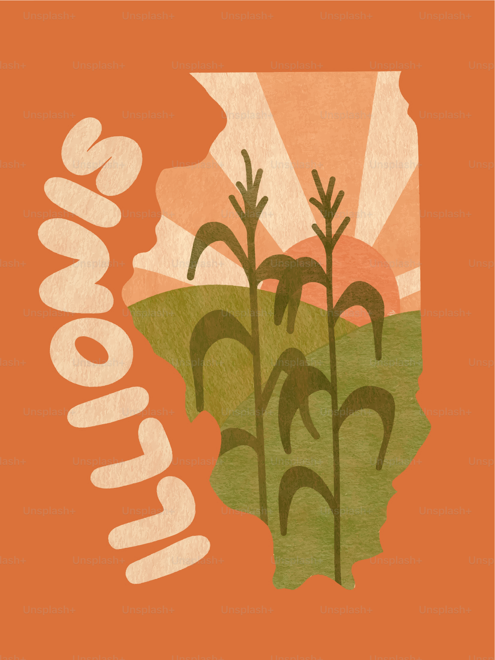 Contorno dell'Illinois con steli di mais e alba