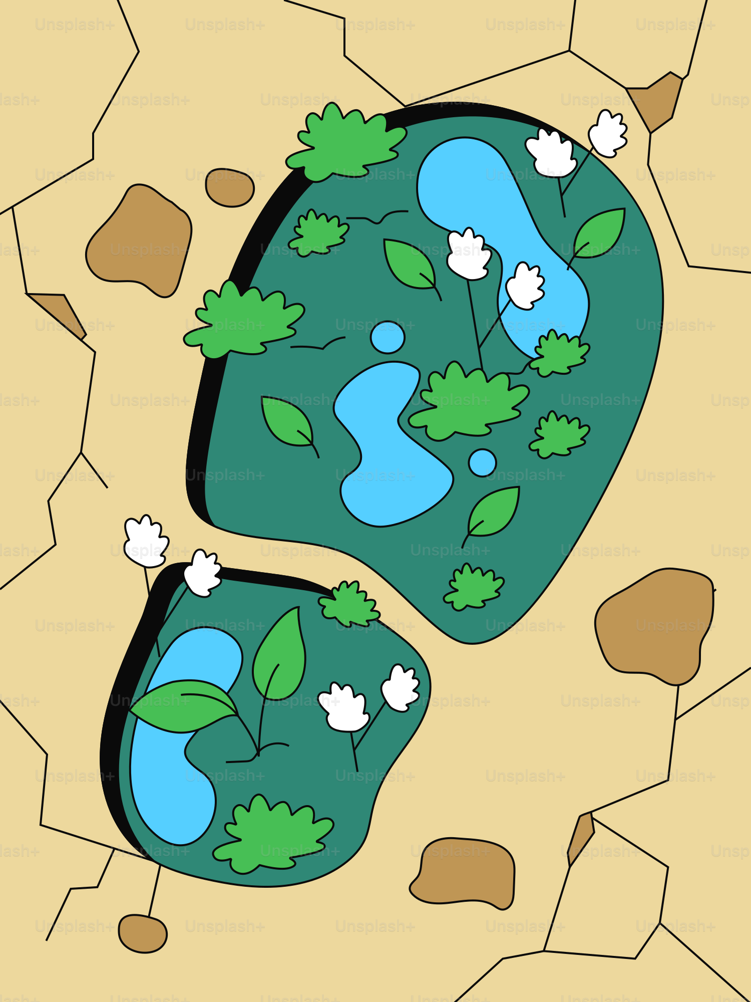 Cracked earth with two small oases and plants.
