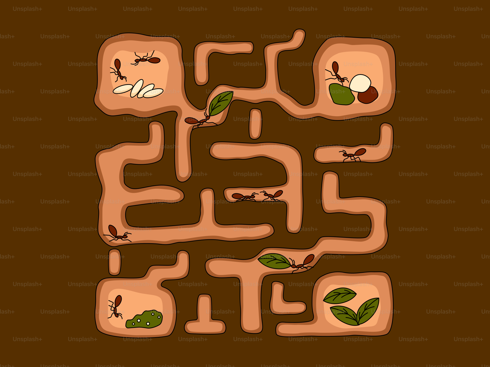 An ant colony with tunnels and chambers