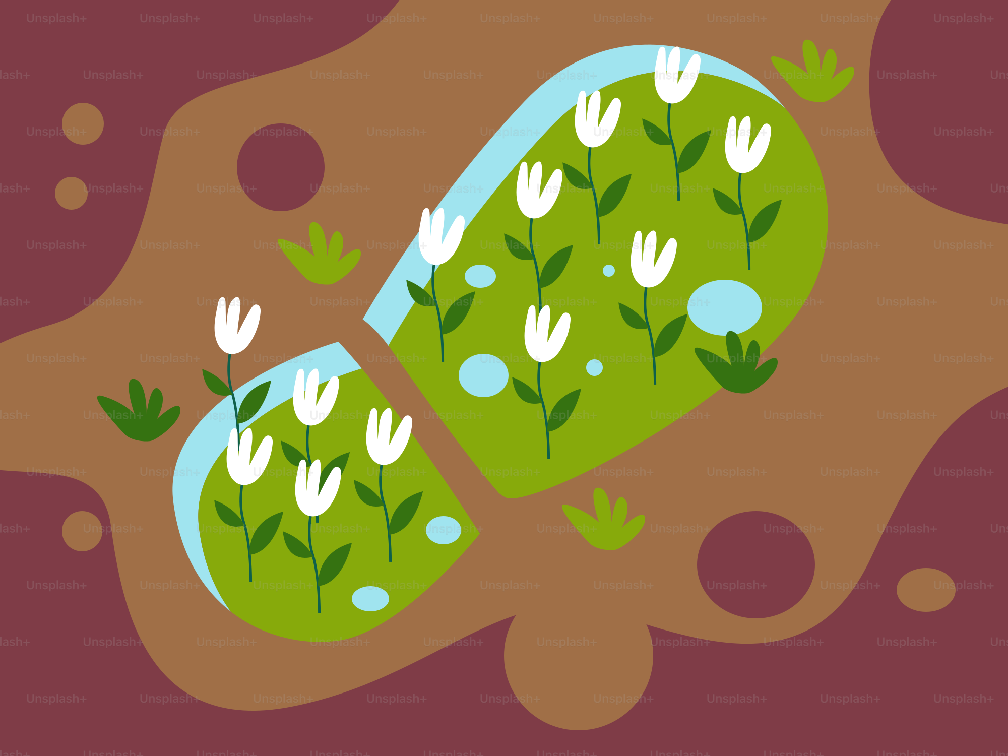 Eine zerbrochene Kapsel voller blühender weißer Blumen