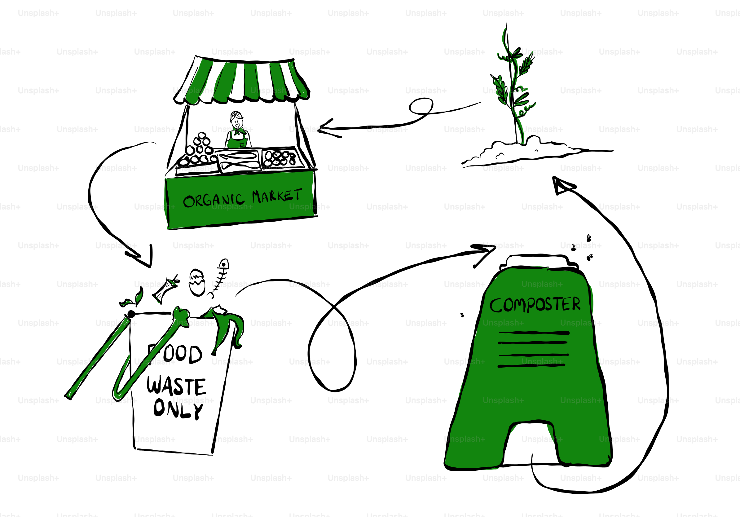 Organic market, food waste, and plant growth cycle.