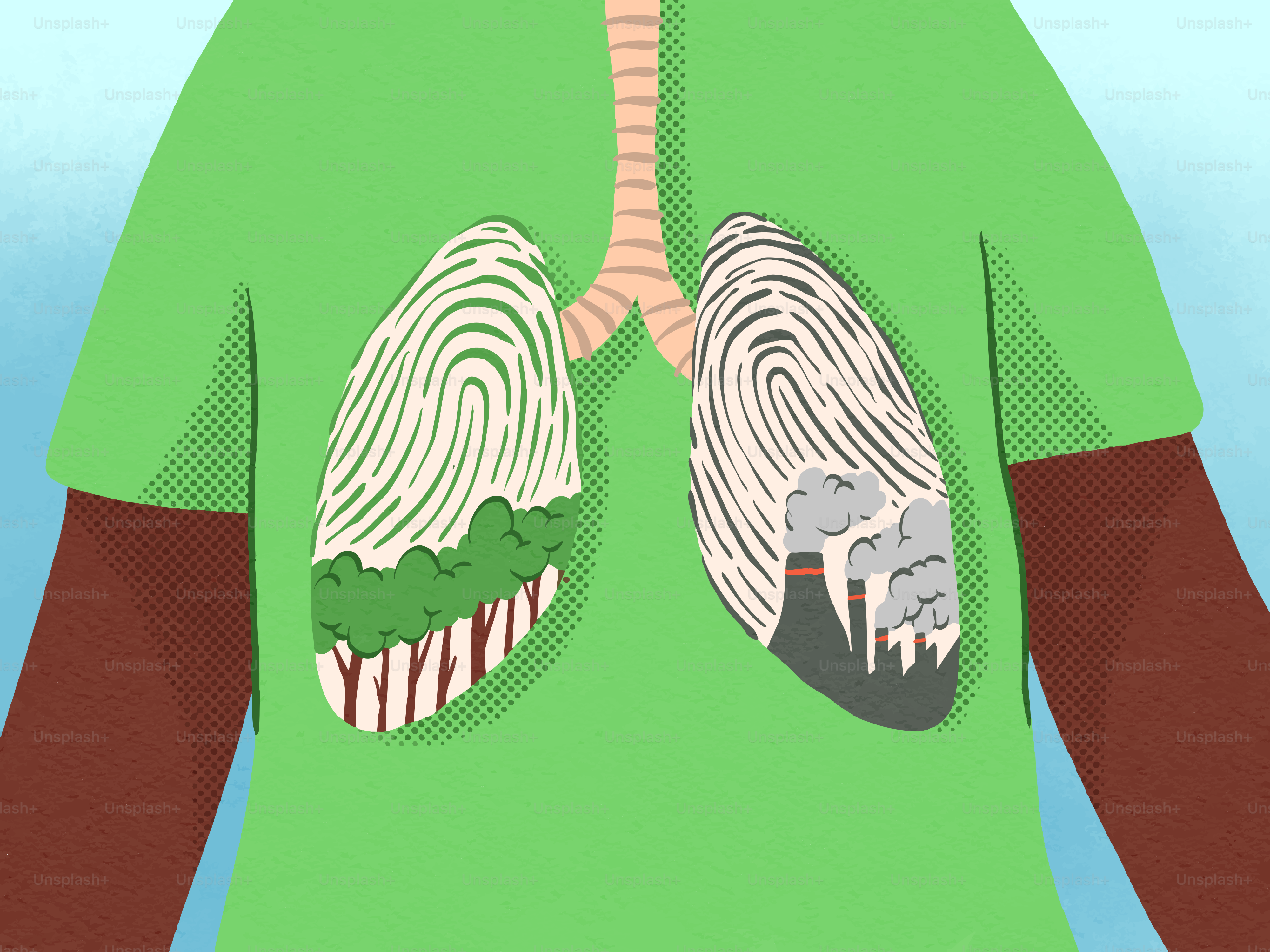 Polmoni rappresentati con una foresta sana e un paesaggio inquinato.